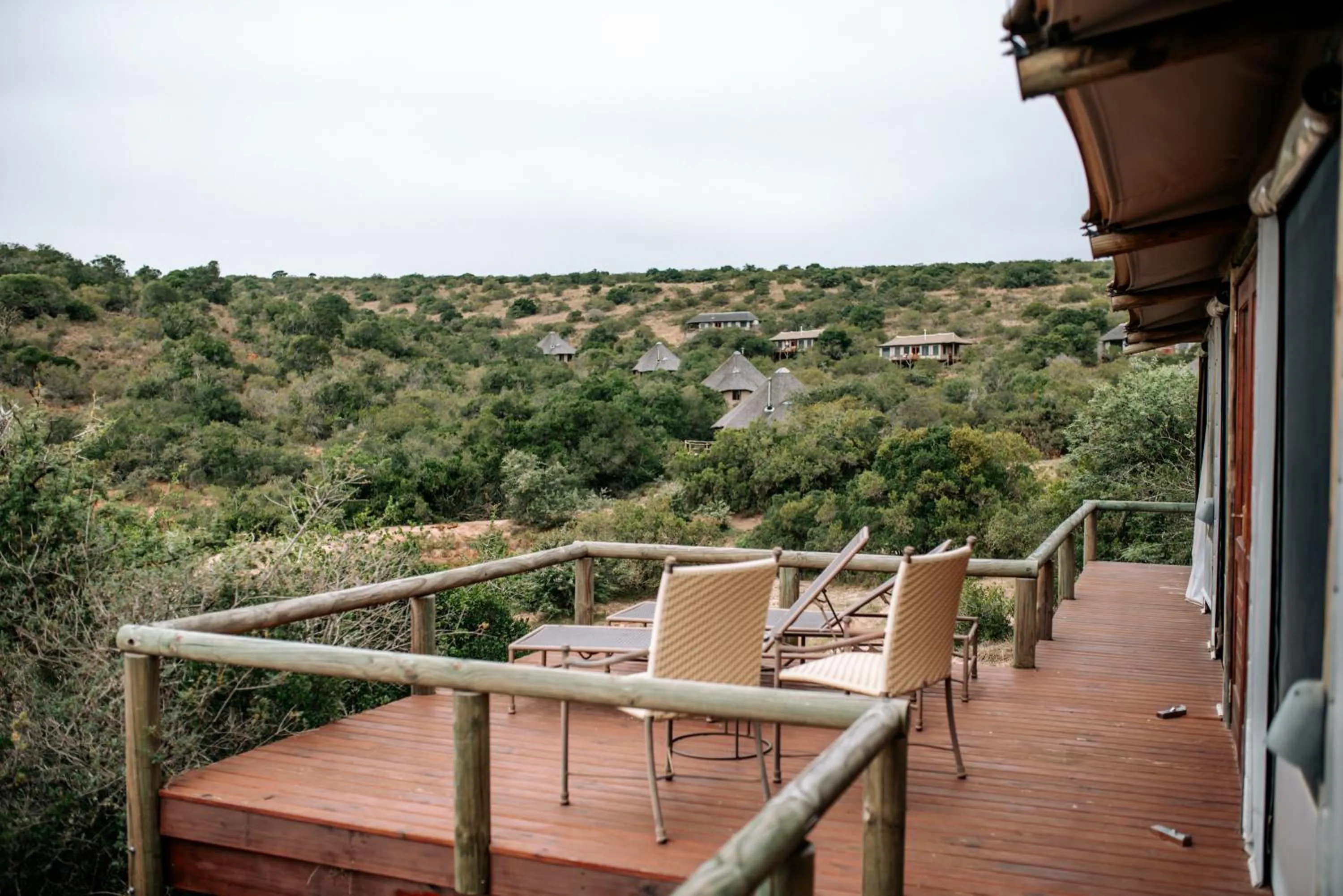 Patio in Bukela Game Lodge - Amakhala Game Reserve