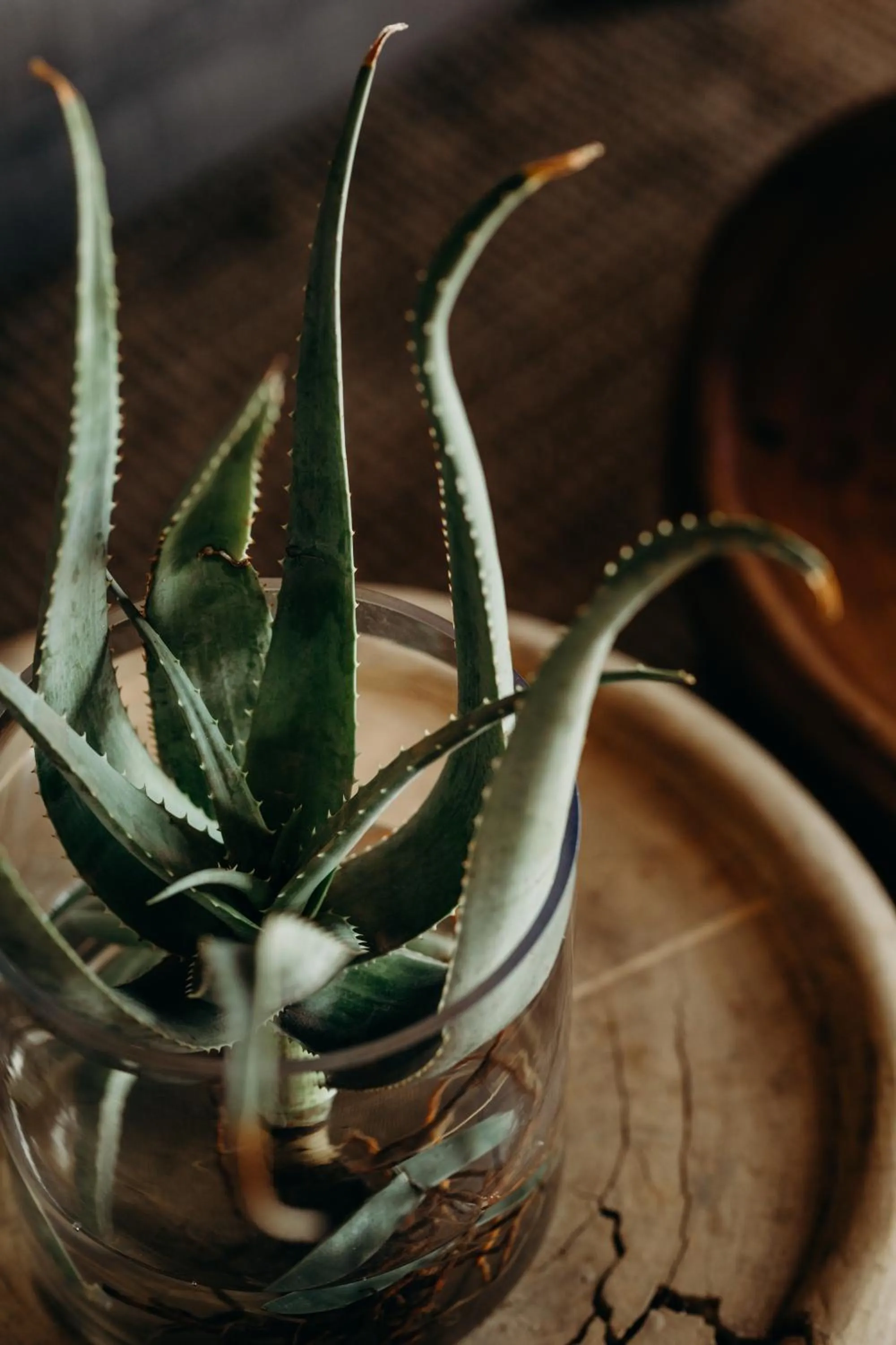 Decorative detail in Bukela Game Lodge - Amakhala Game Reserve