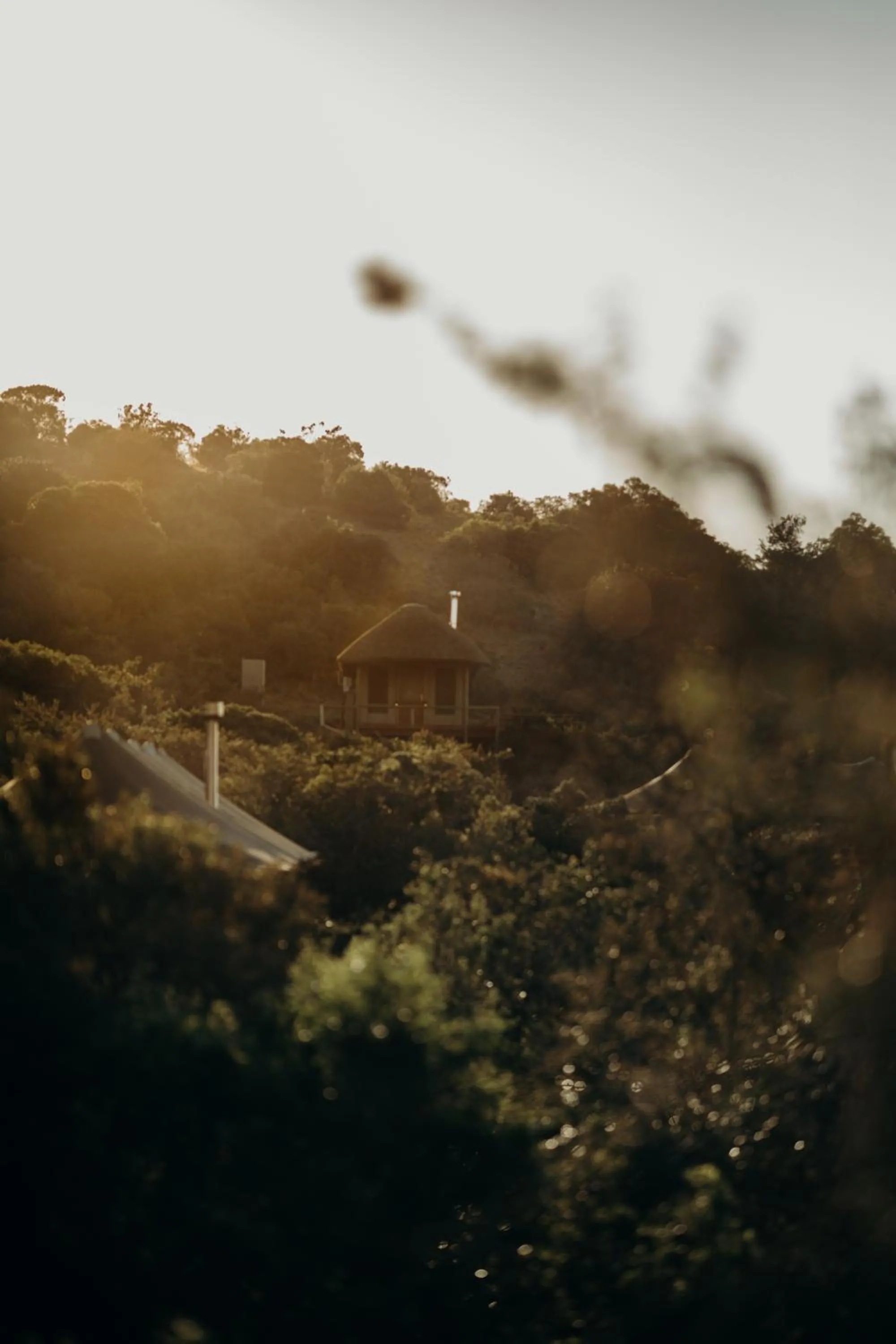 Natural landscape in Bukela Game Lodge - Amakhala Game Reserve