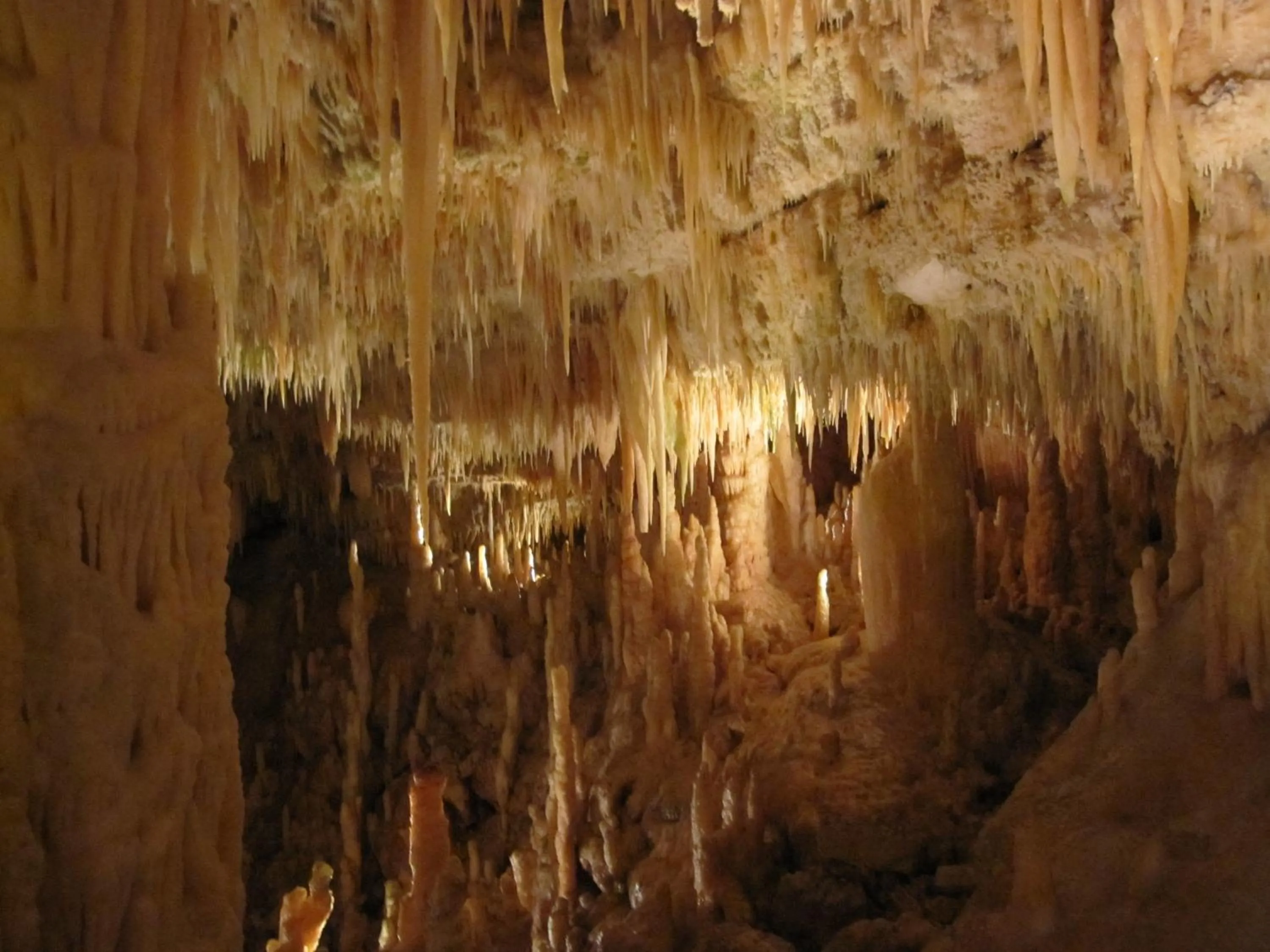 Natural landscape in B&B Baciami Ancora