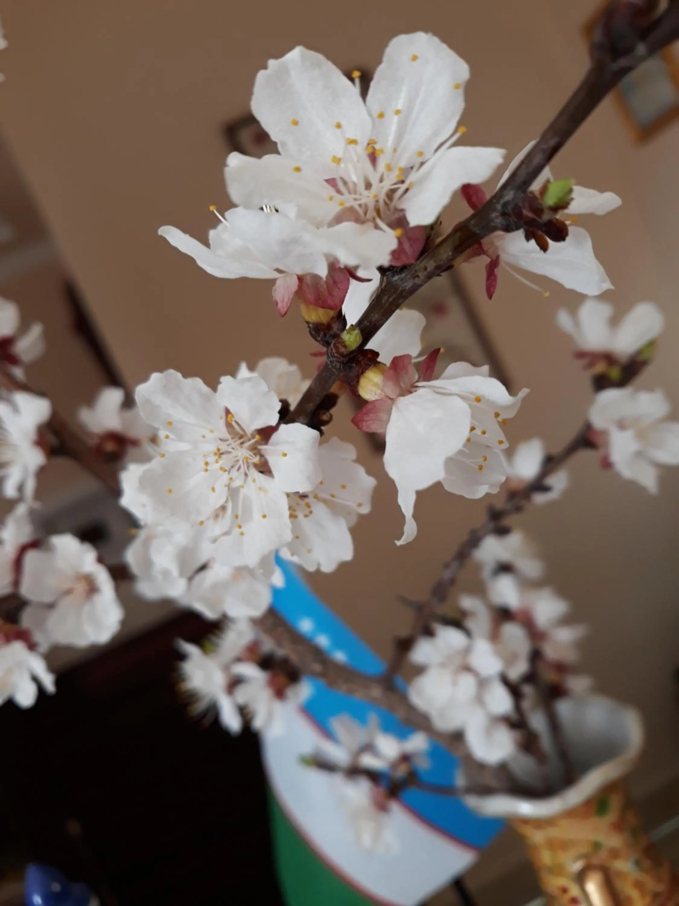 Other in Hotel Shams