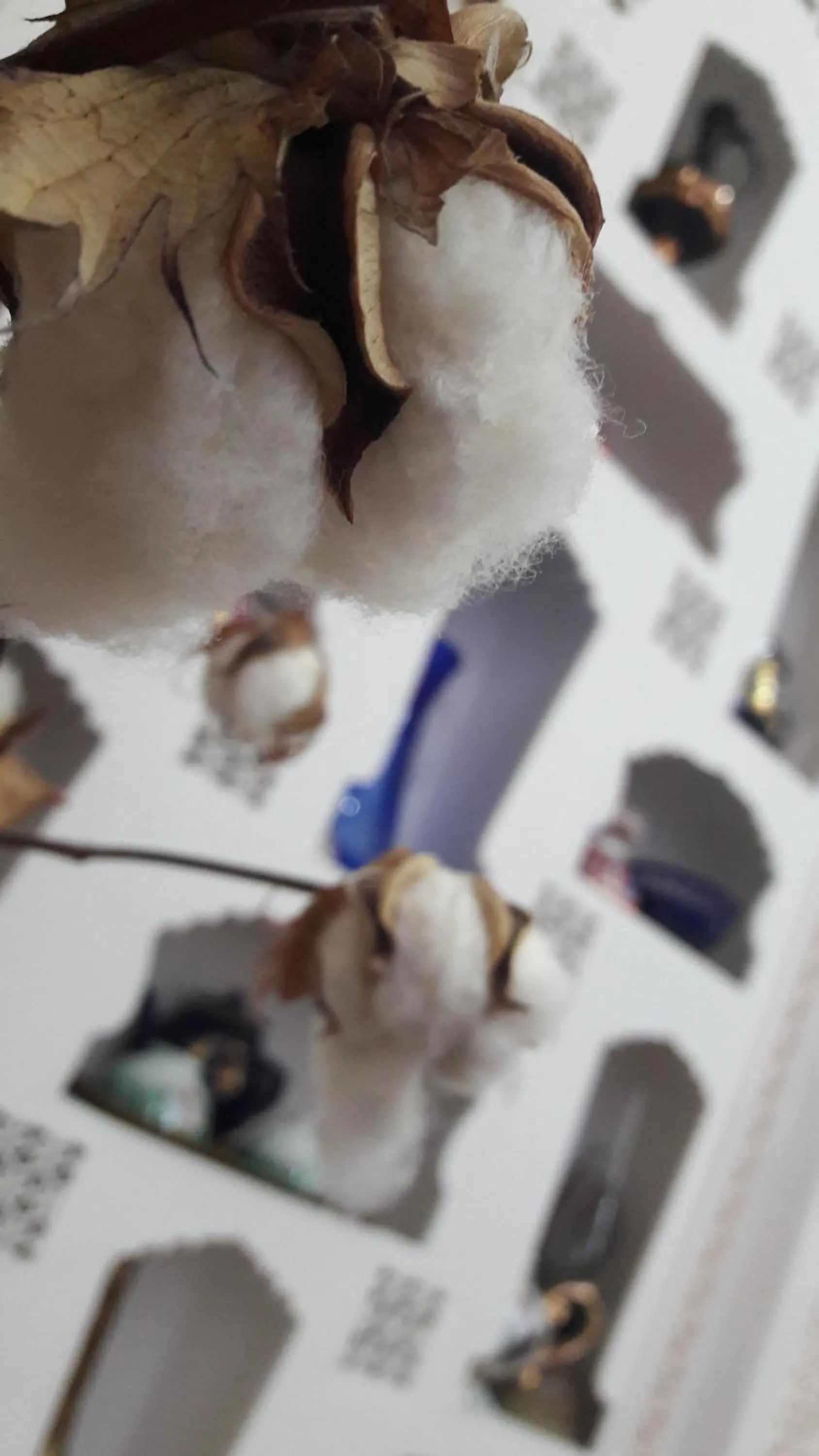 Spring in Hotel Shams