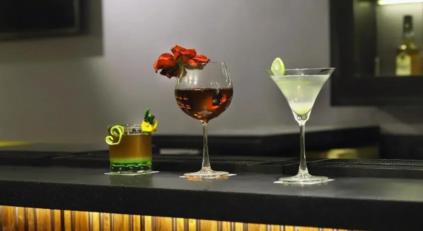 Aralia A business Hotel, MIDC