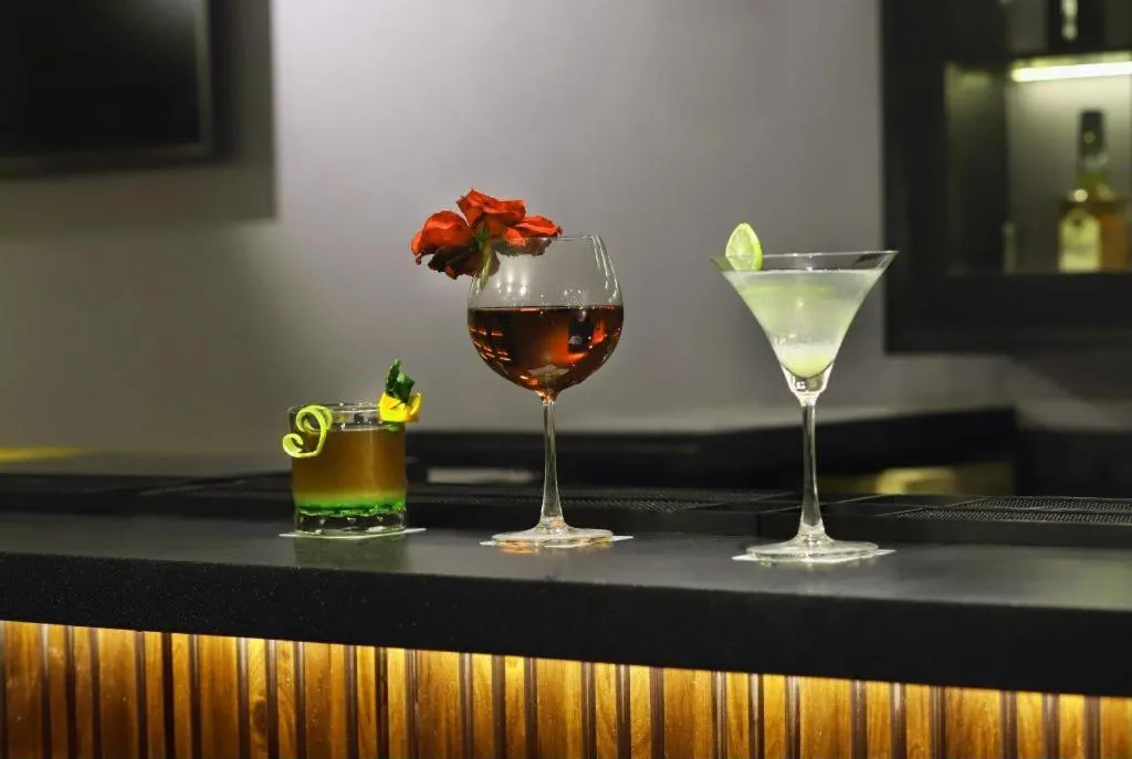 Aralia A business Hotel, MIDC