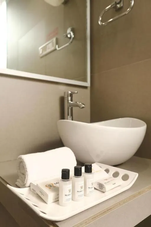 Mumbai Metro - The Executive Hotel