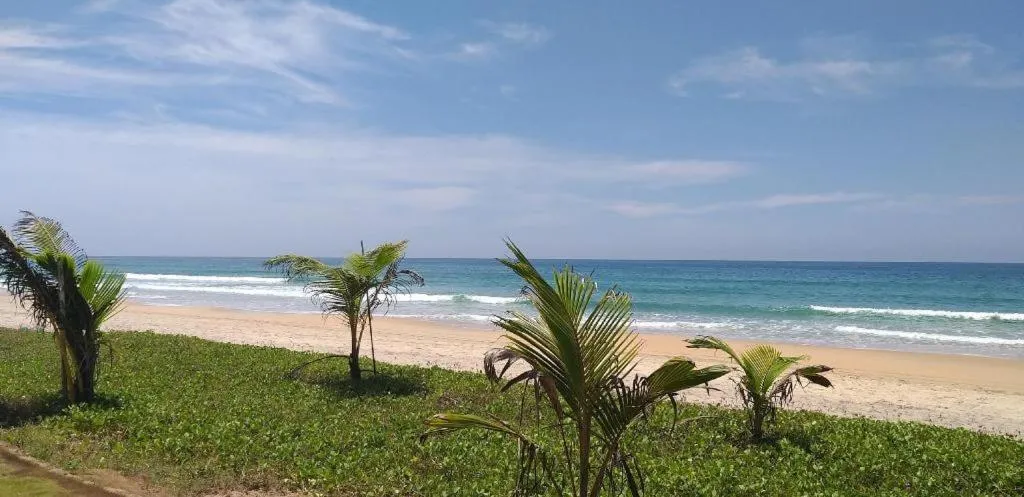 Majestic Beach Comforts - Beachfront