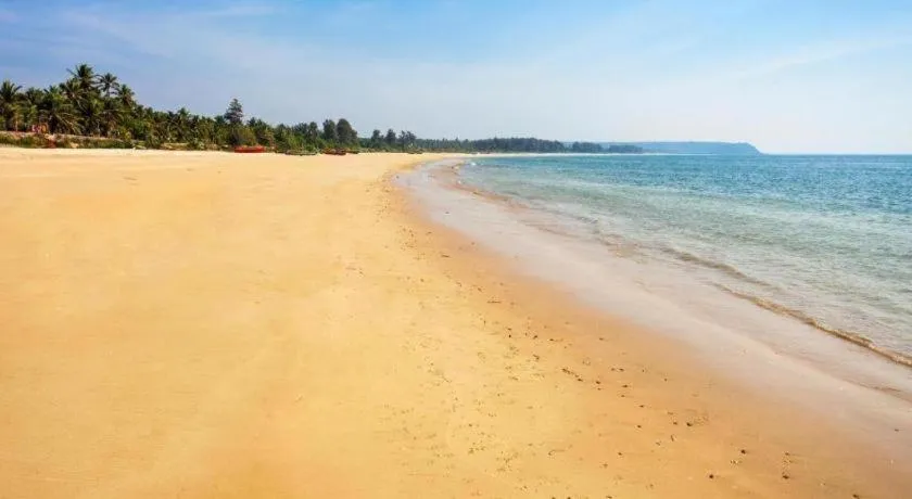 Majestic Beach Comforts - Beachfront