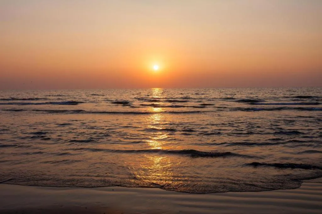 Majestic Beach Comforts - Beachfront