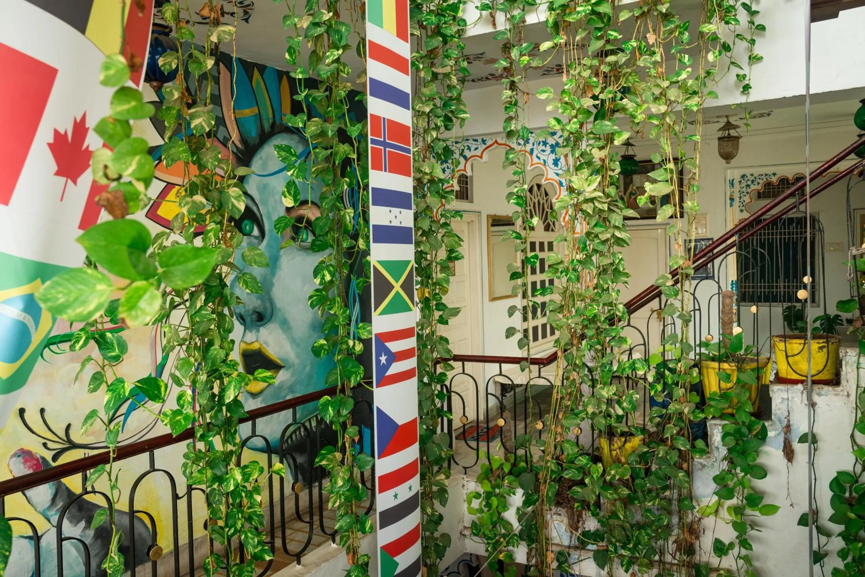 Natural landscape in Dreamyard Udaipur