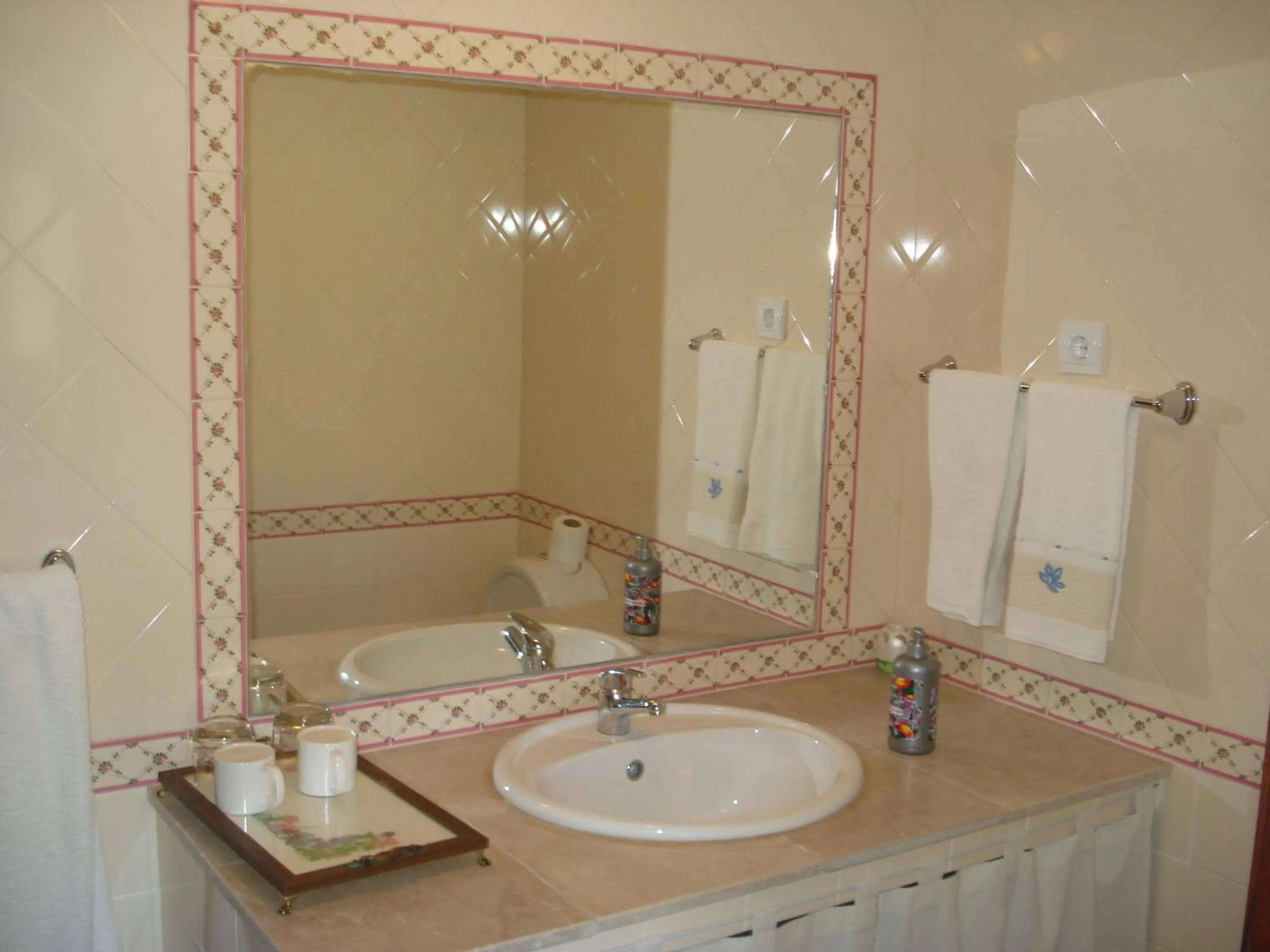 Monte Antonio Domingos