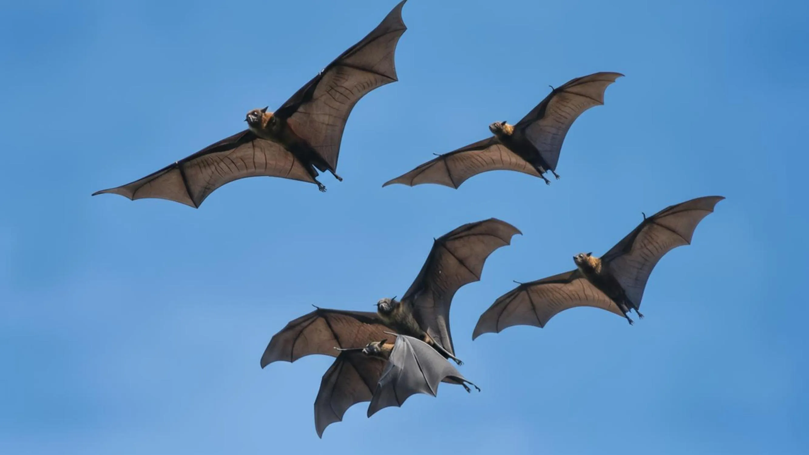 Natural landscape in Waterland