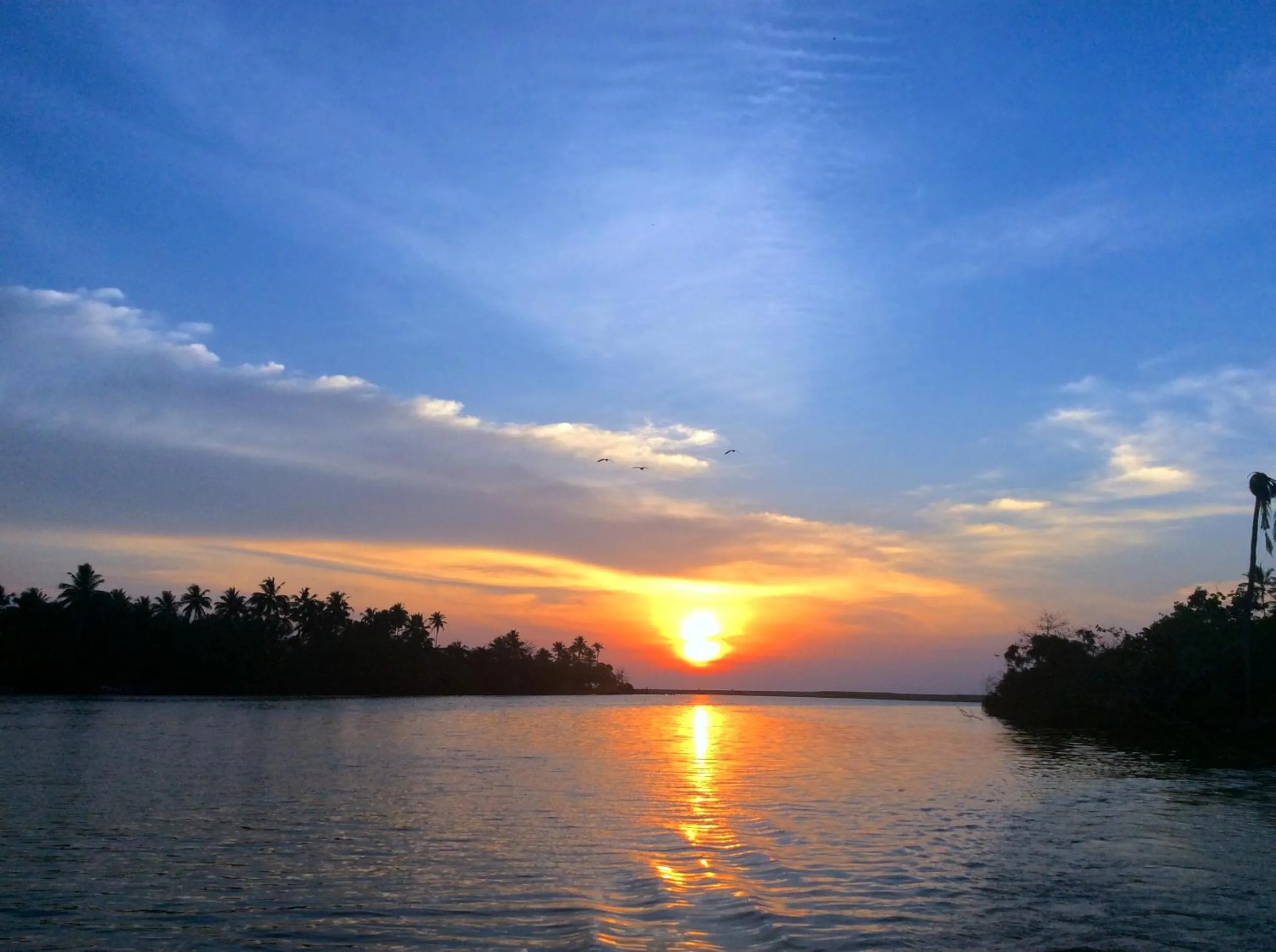 View (from property/room) in Waterland