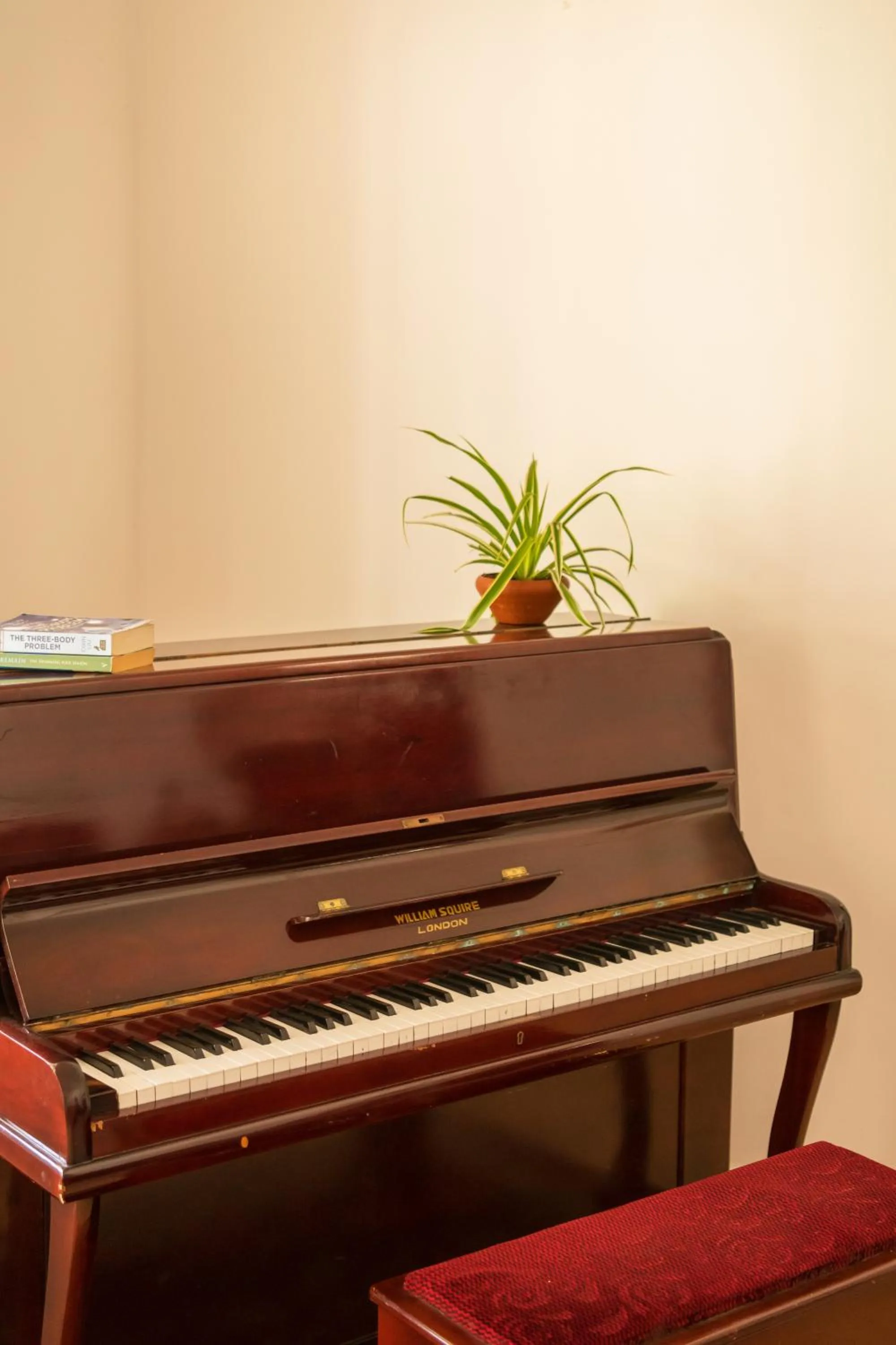 Decorative detail in Xavier's Cottage