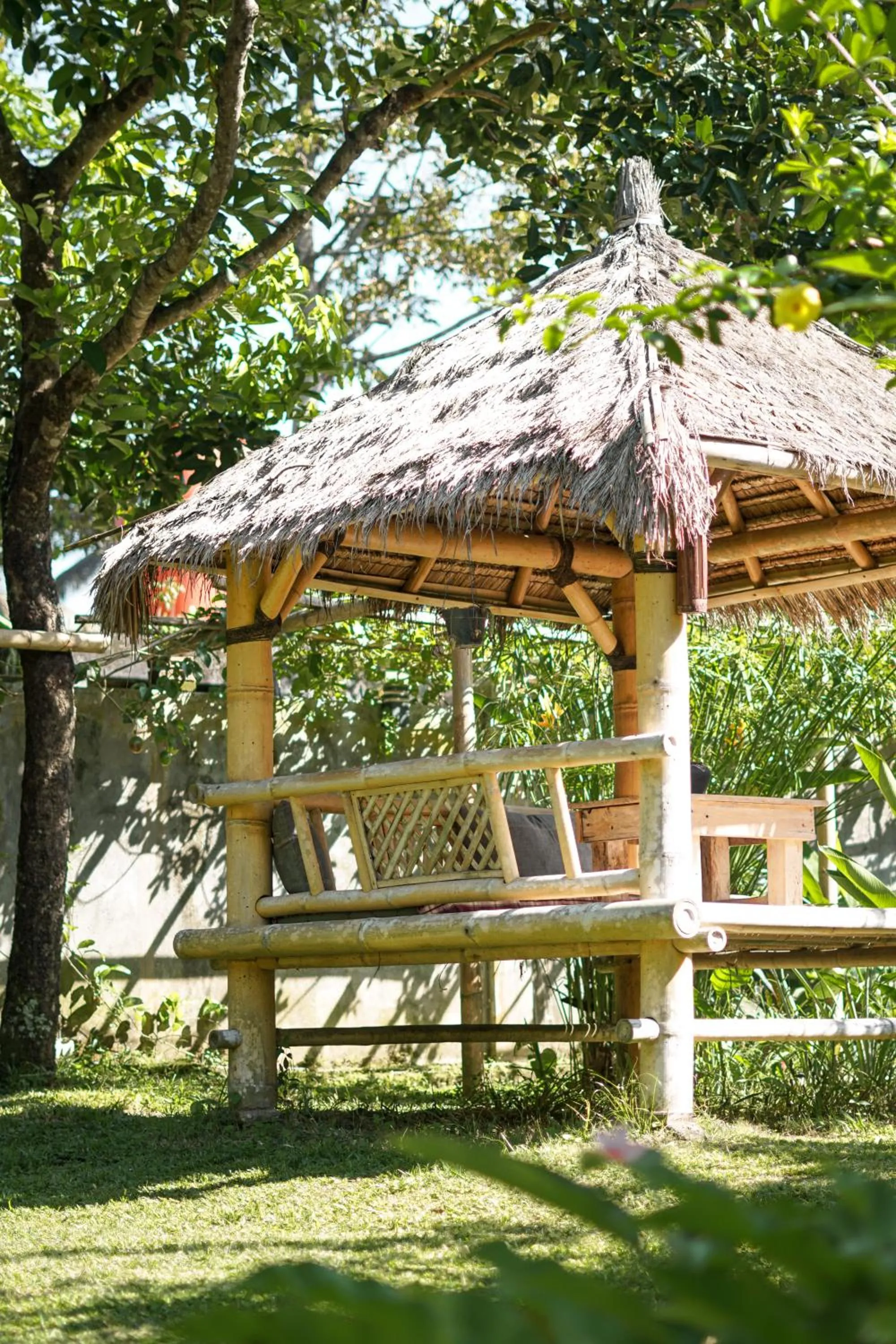 Day in Les Rizieres Lombok