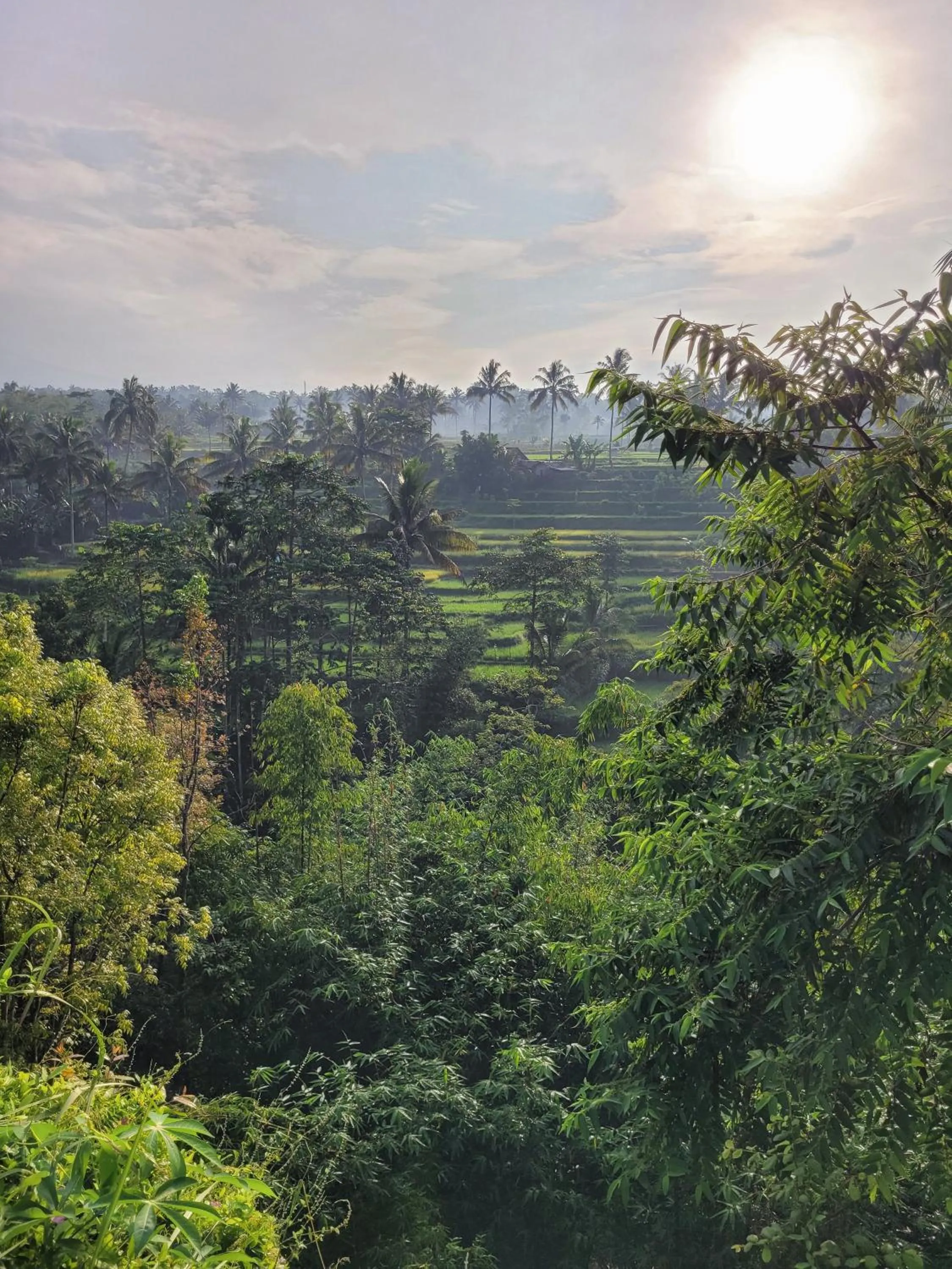 Natural landscape in Les Rizieres Lombok