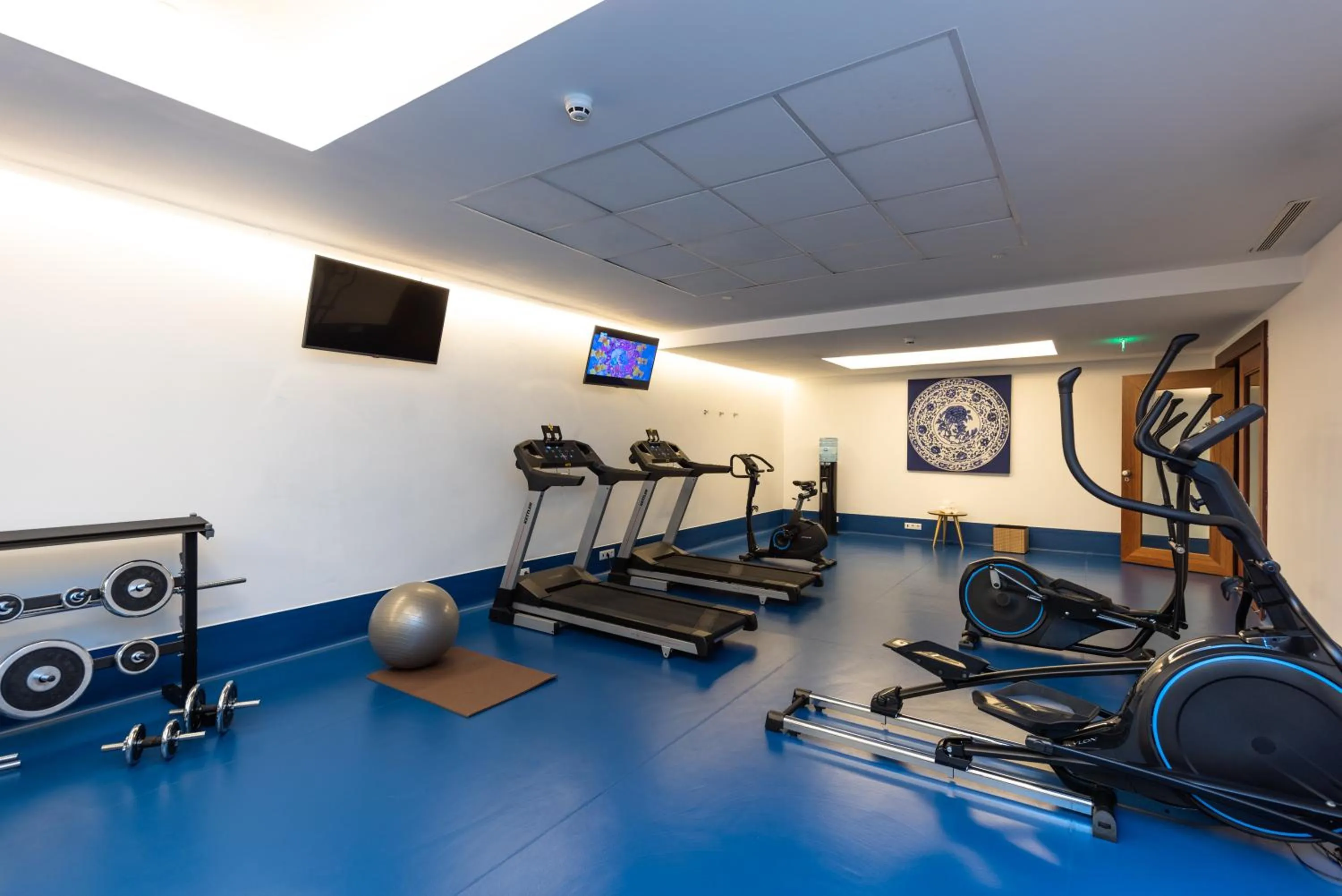 Fitness centre/facilities in Palácio do Governador - Lisbon Hotel & Spa
