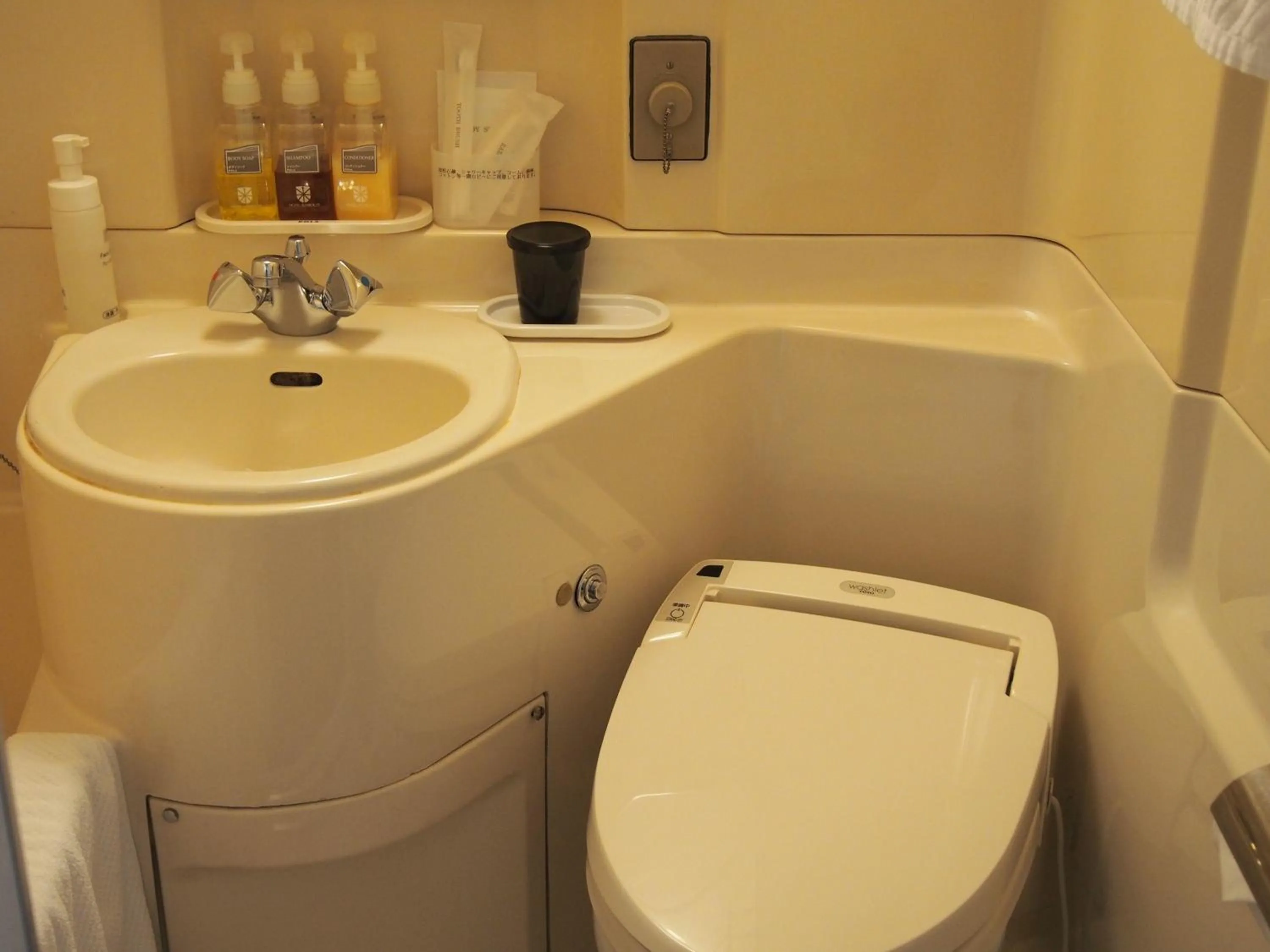 Photo of the whole room in Hotel Sunroute Fukushima