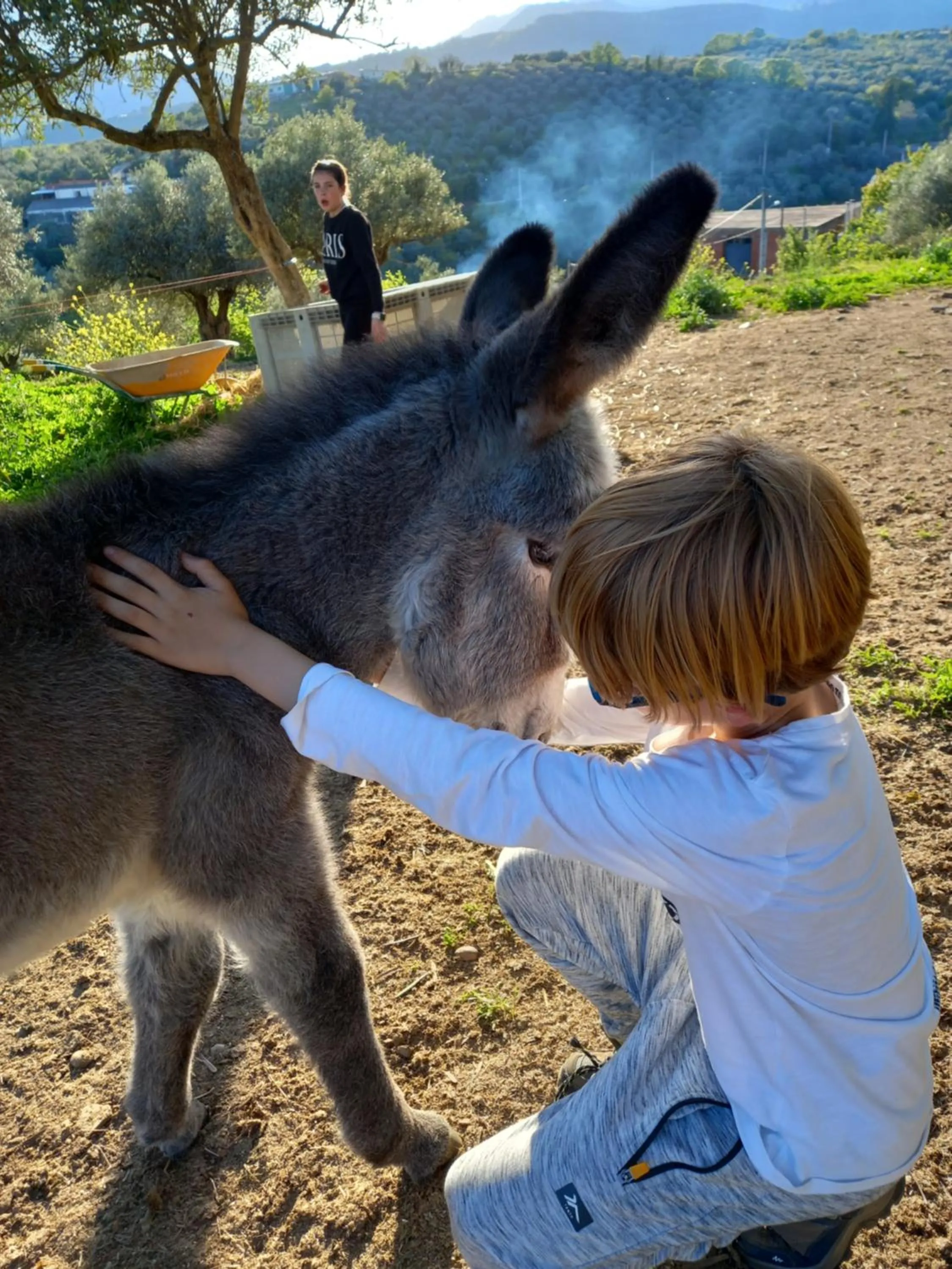Animals in Casa El Descanso Del Peregrino