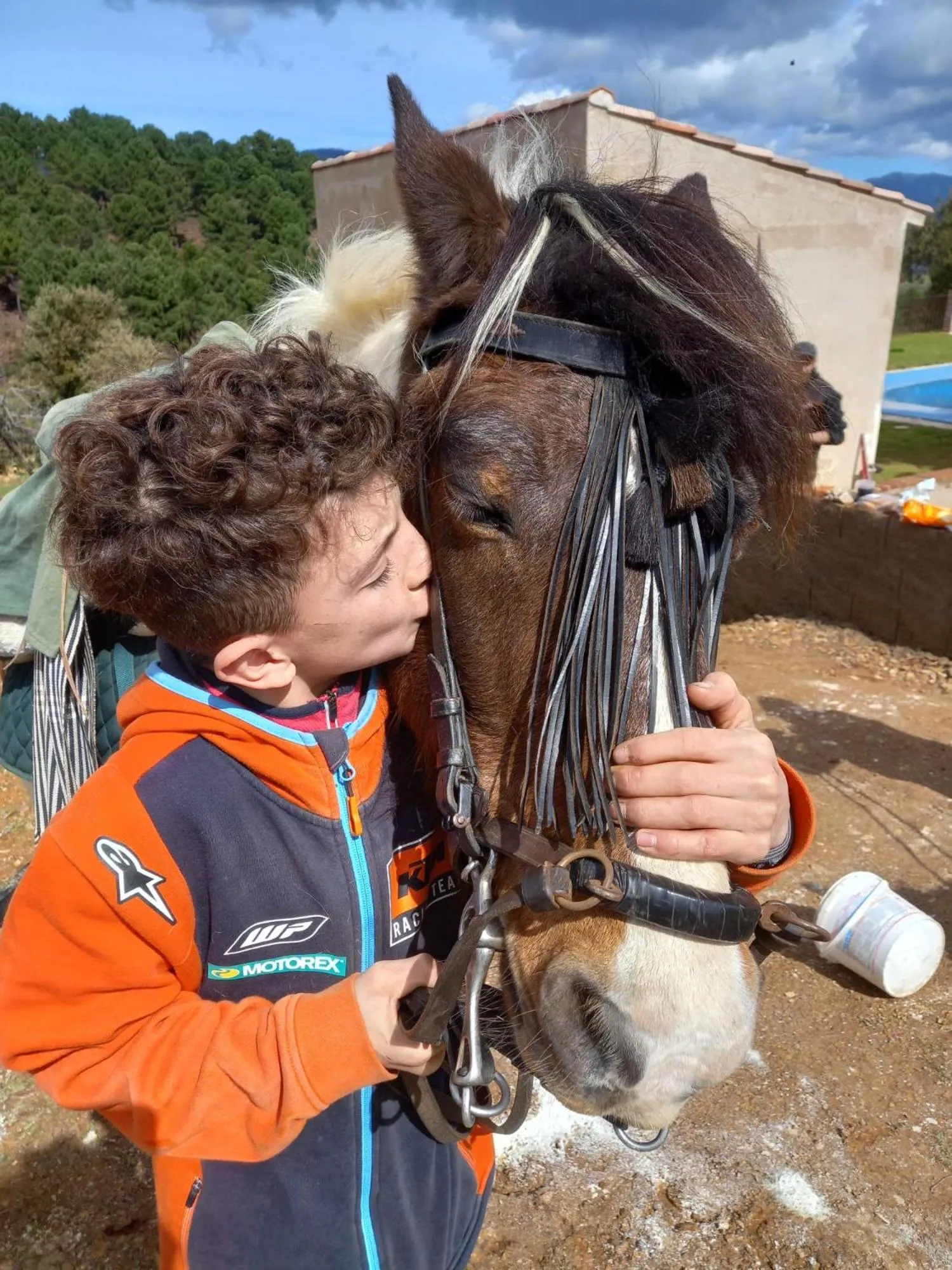 Animals in Casa El Descanso Del Peregrino
