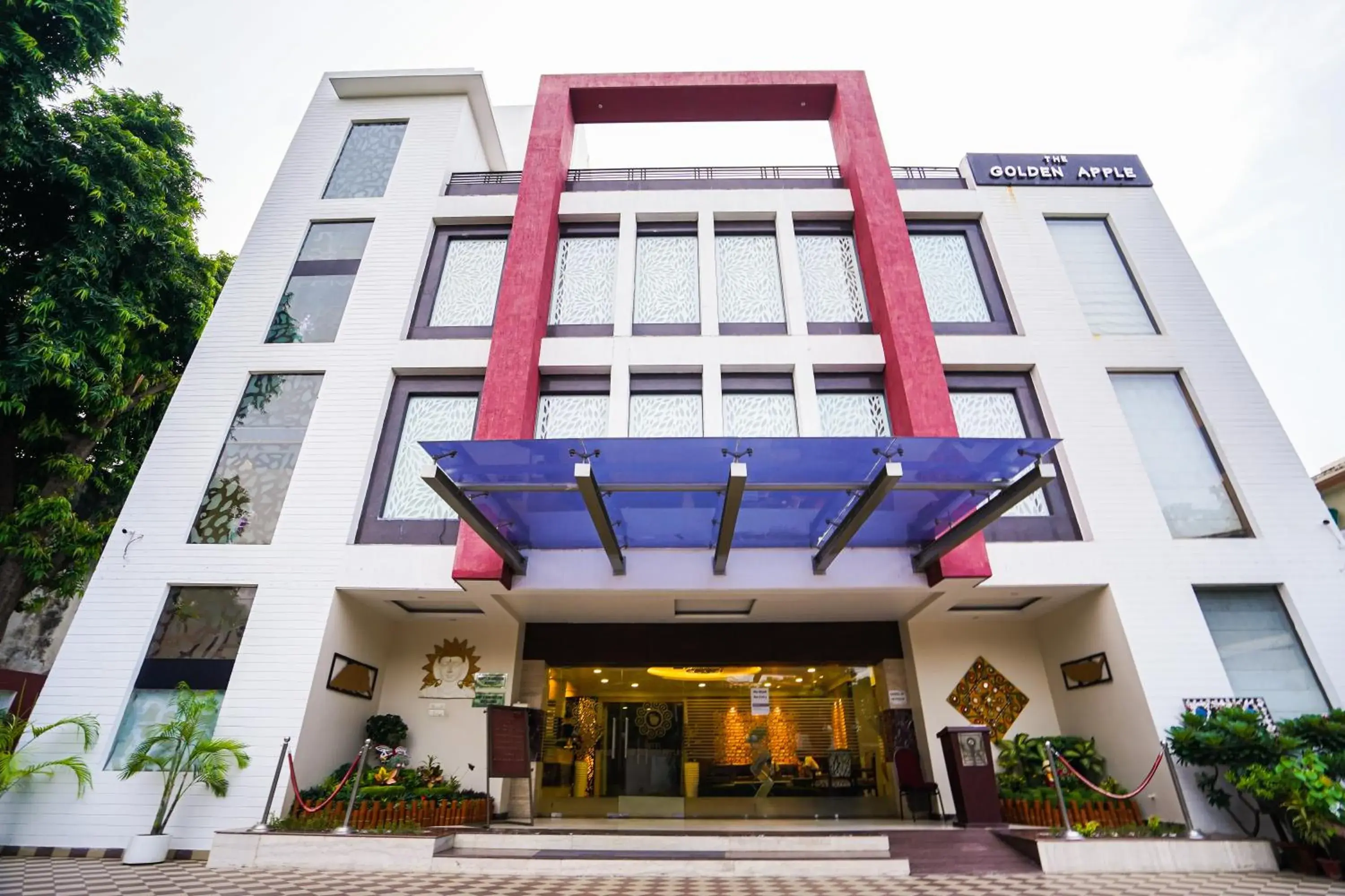 The Golden Apple The Golden Apple