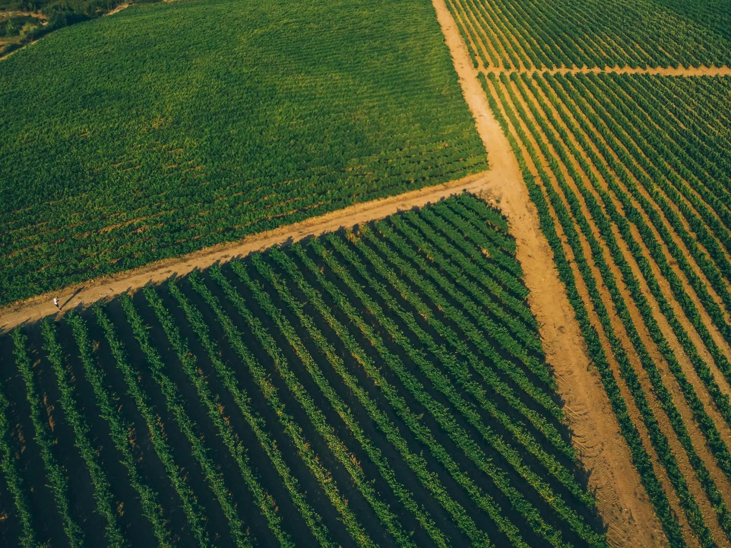 Day in Pátio da Figueira
