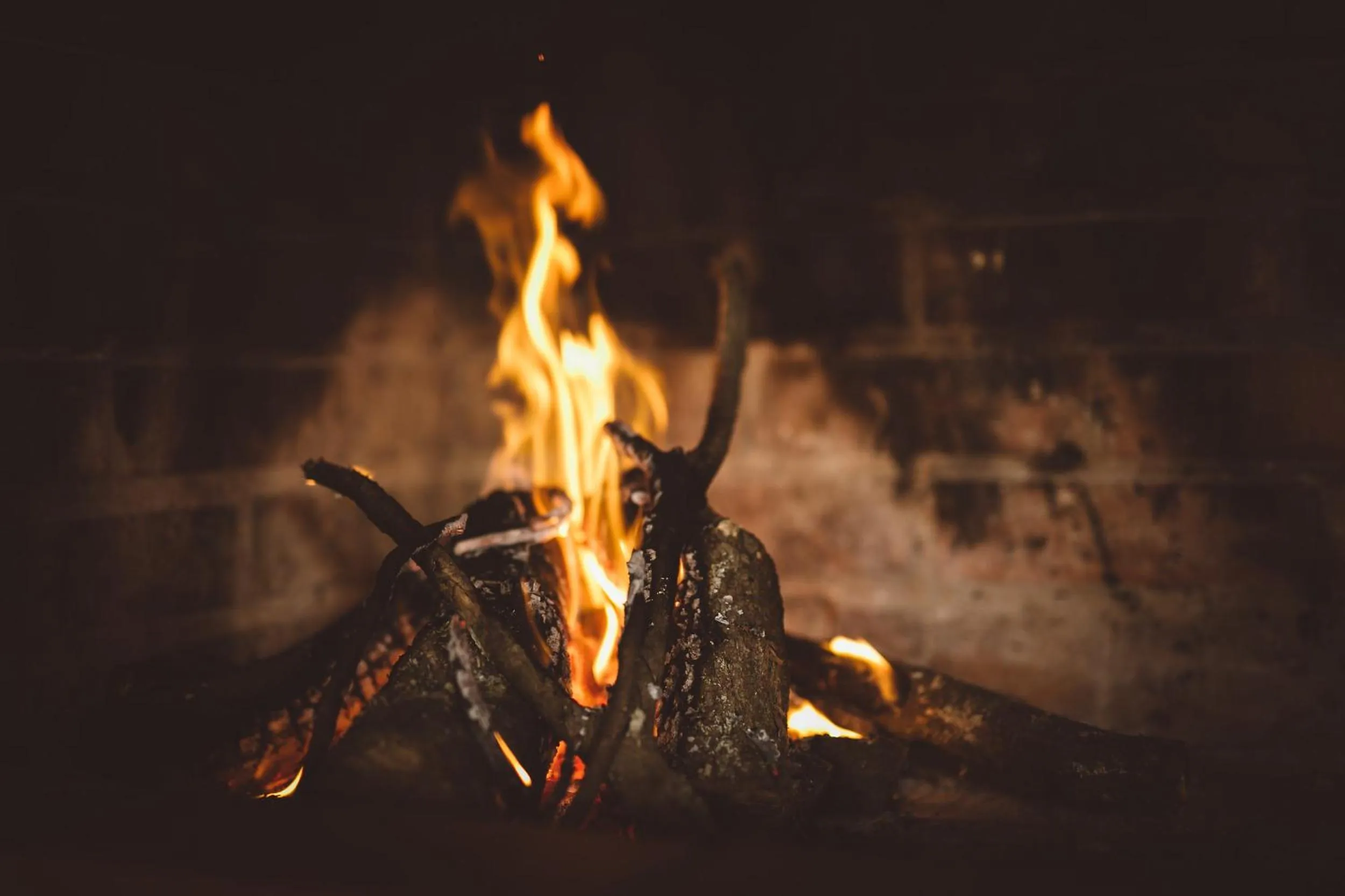 Area and facilities in Pátio da Figueira