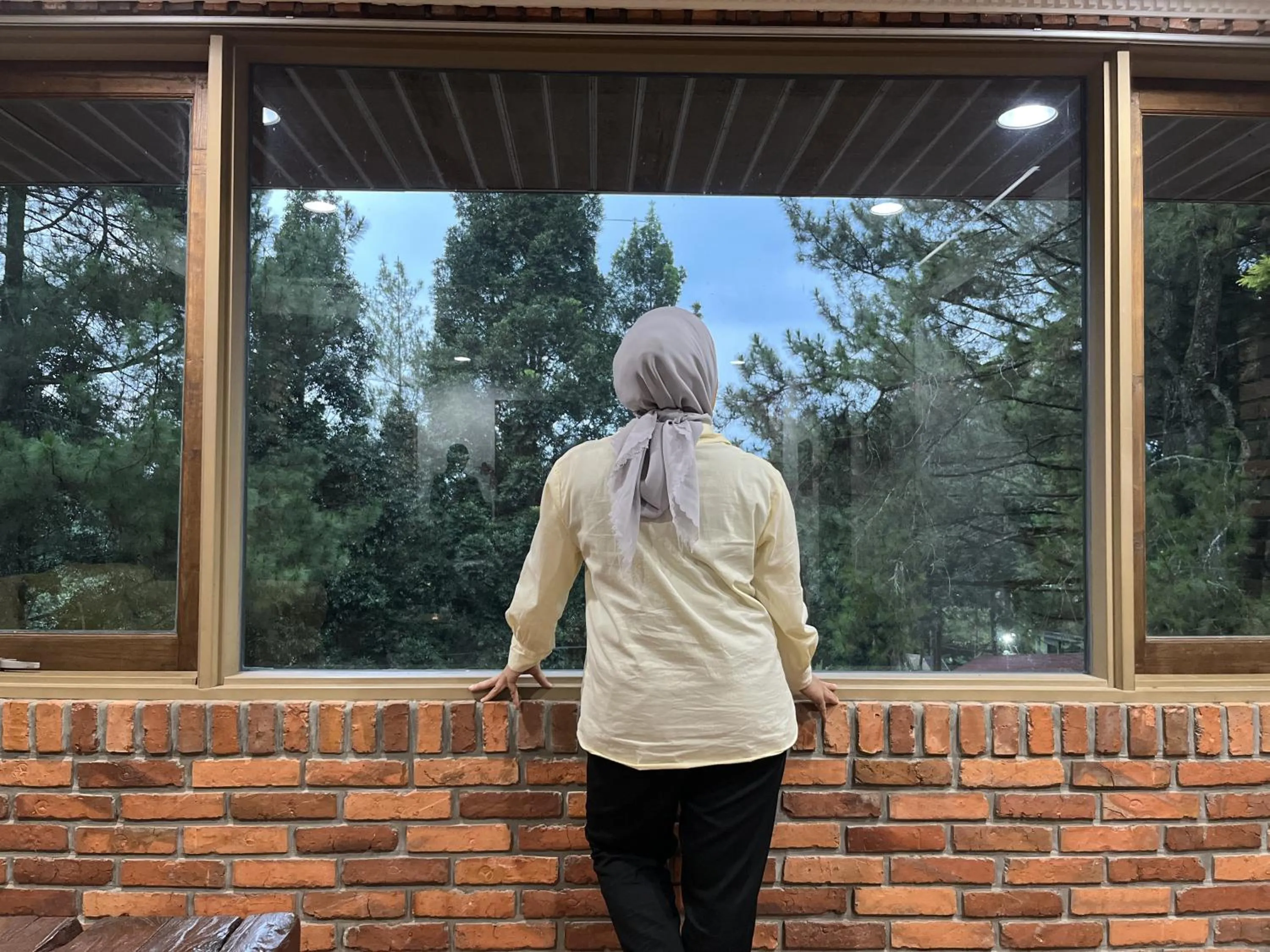 The Pinewood Lodge and Organic Farm