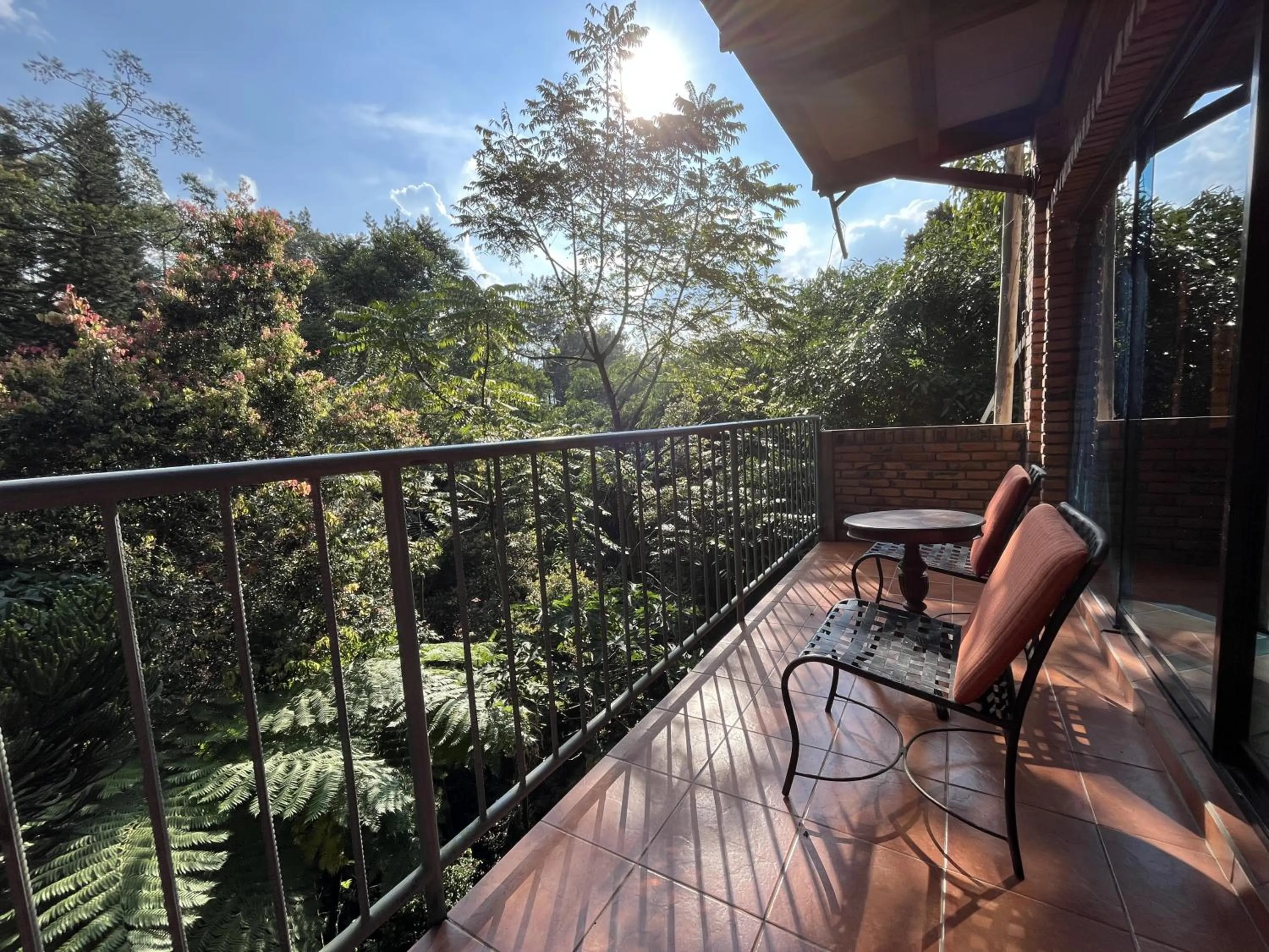 The Pinewood Lodge and Organic Farm