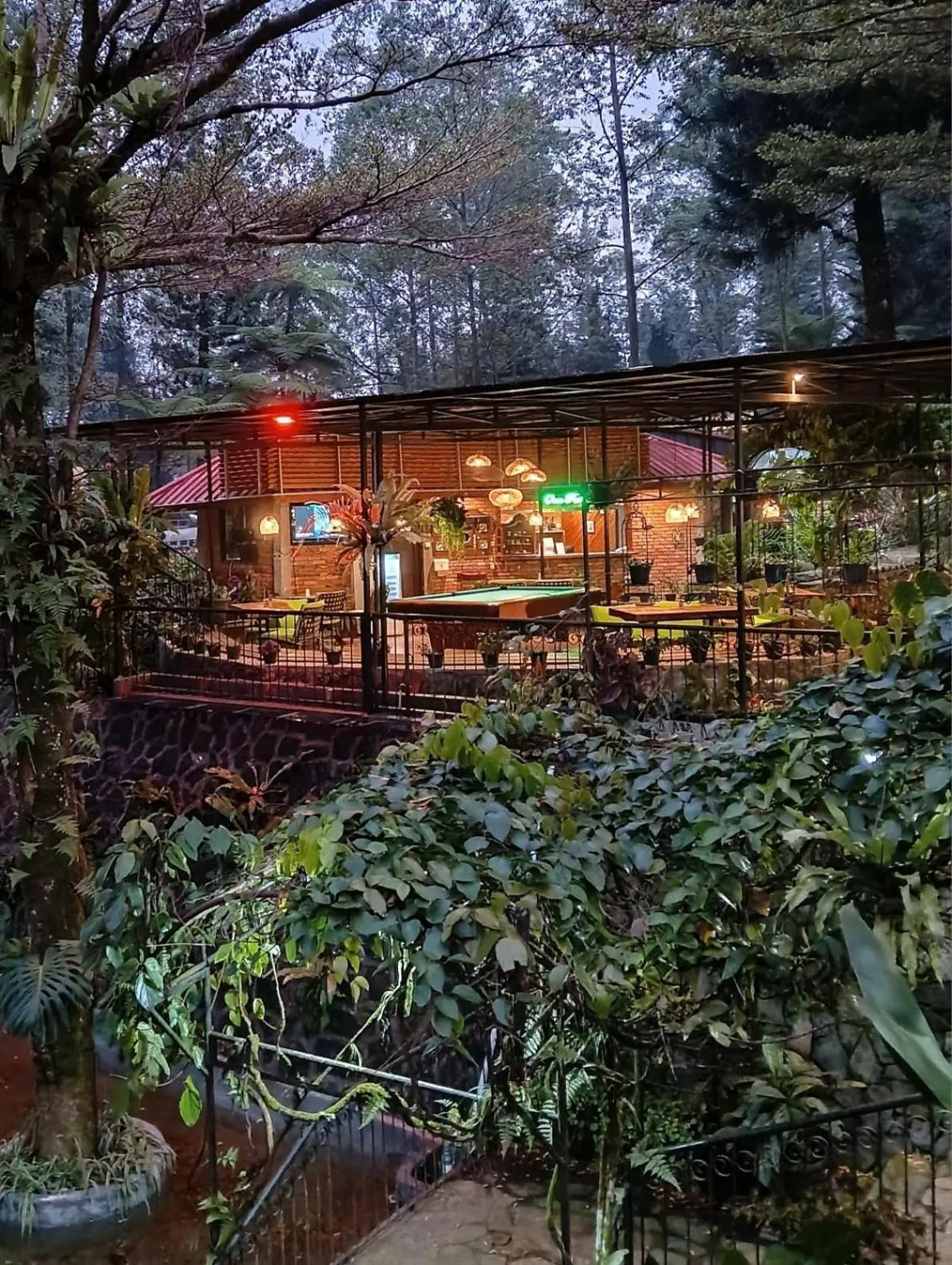 The Pinewood Lodge and Organic Farm