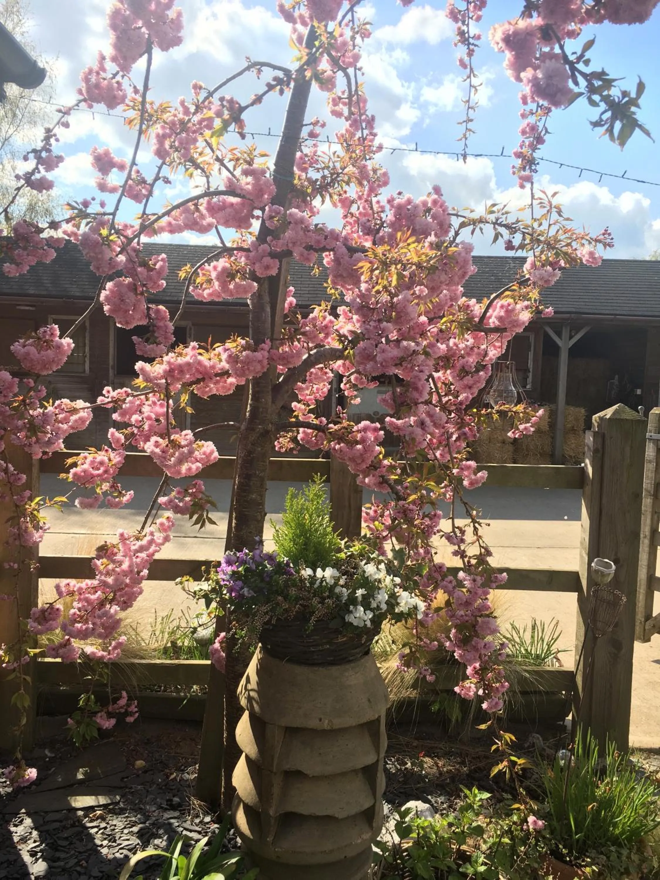 Garden in Bybrook Barn Bed & Breakfast