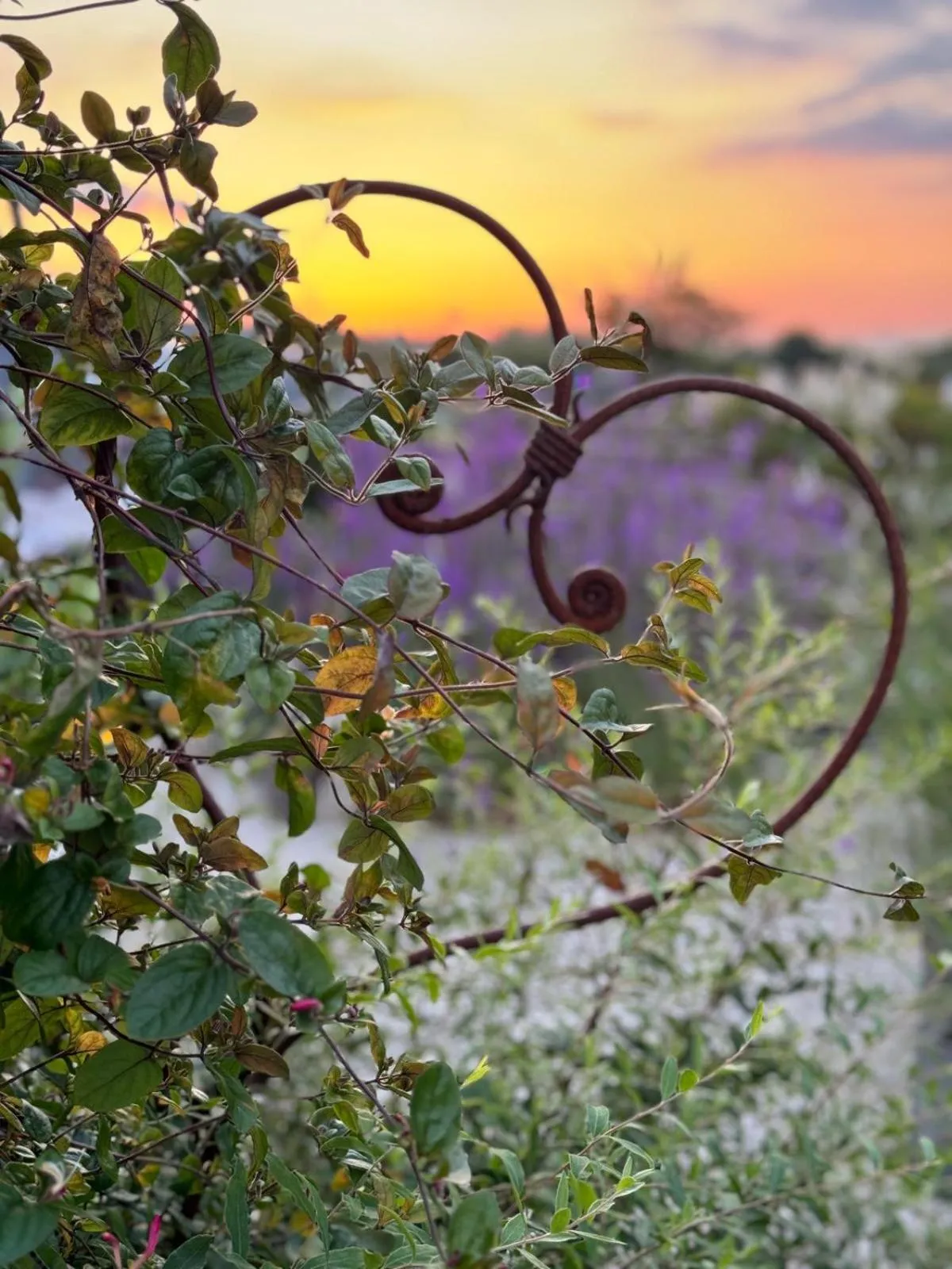 Garden in Bybrook Barn Bed & Breakfast