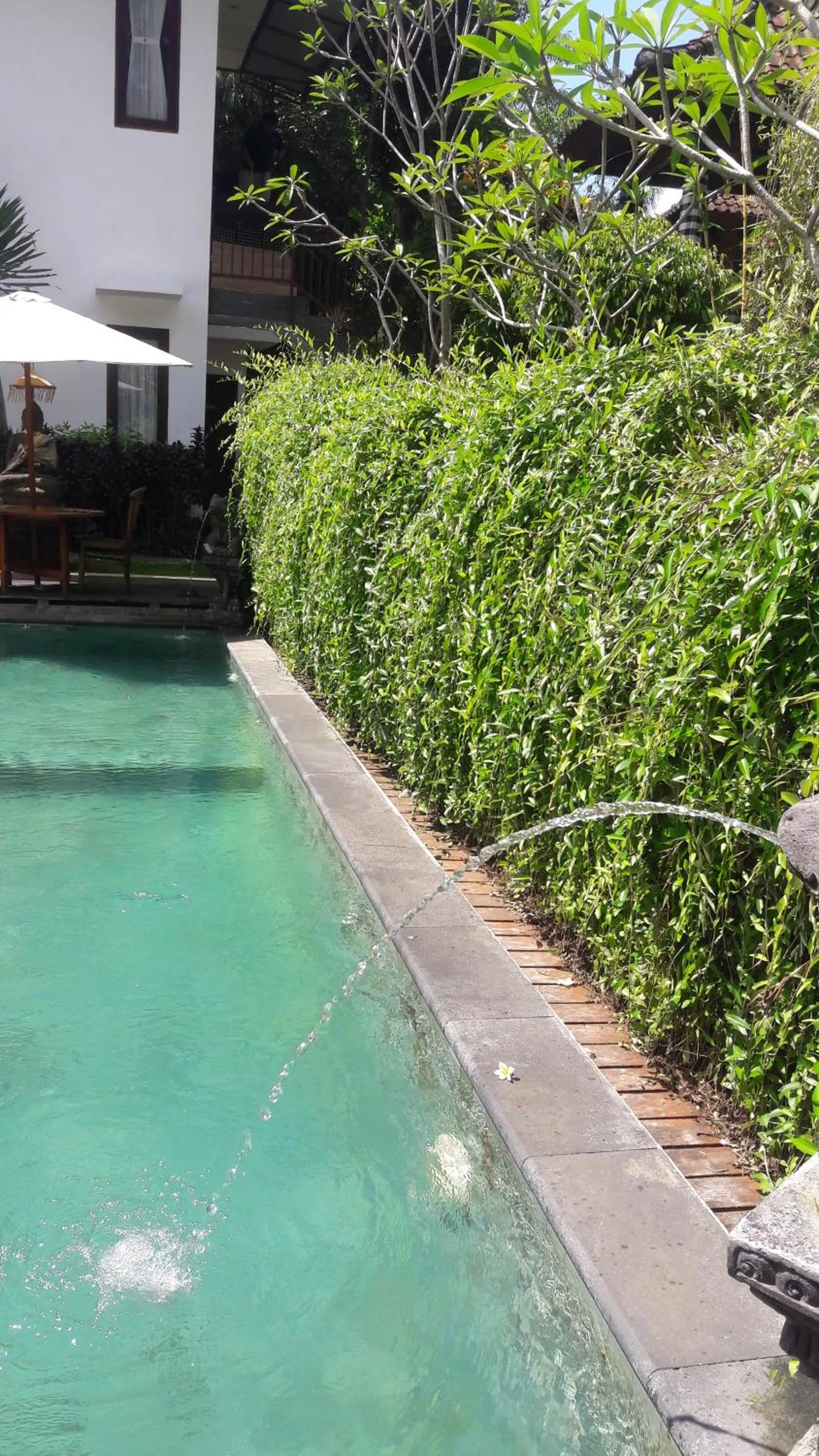 Natural landscape in Astana Swaha Villa