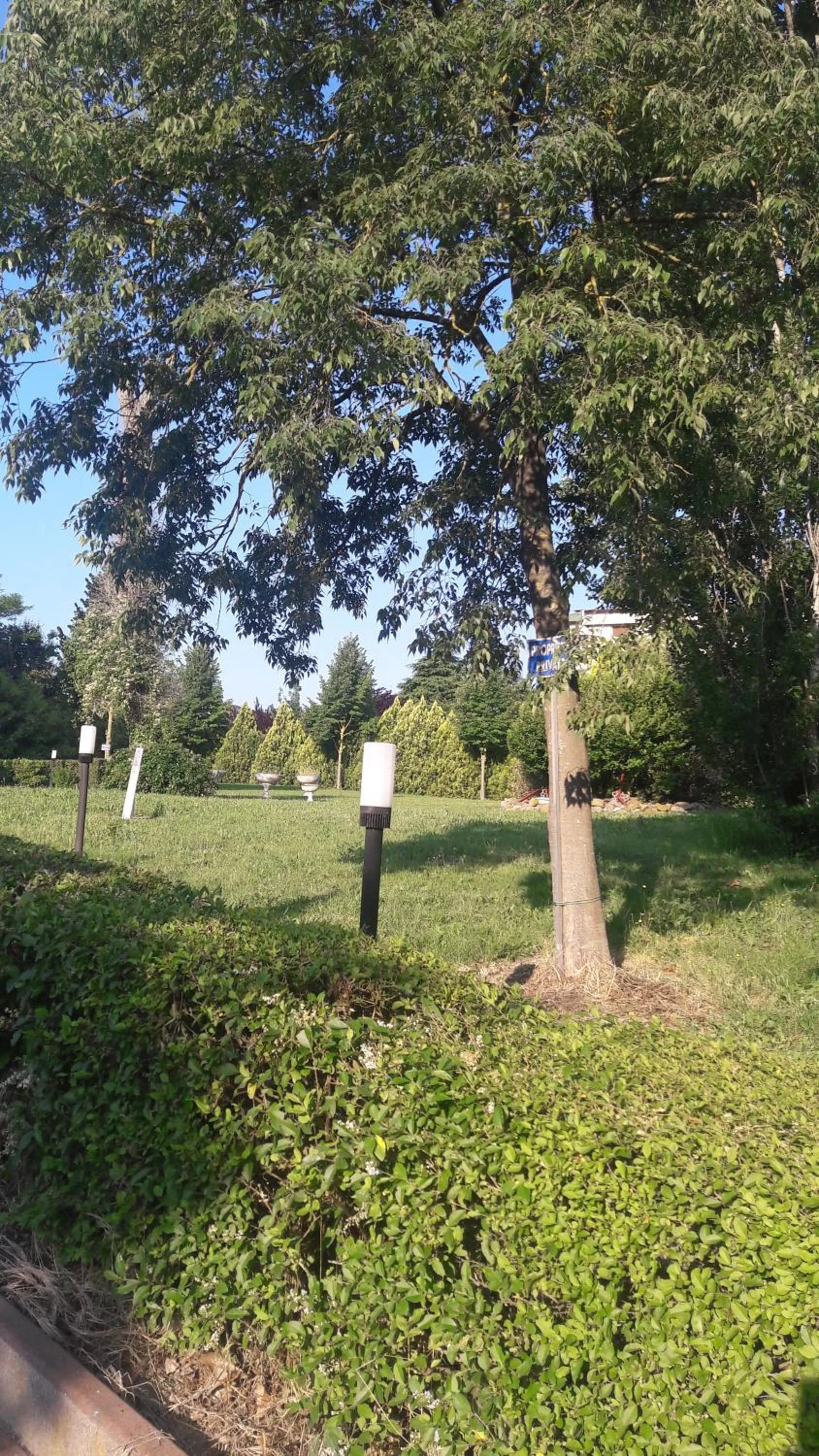 Garden view in Hotel Parigi