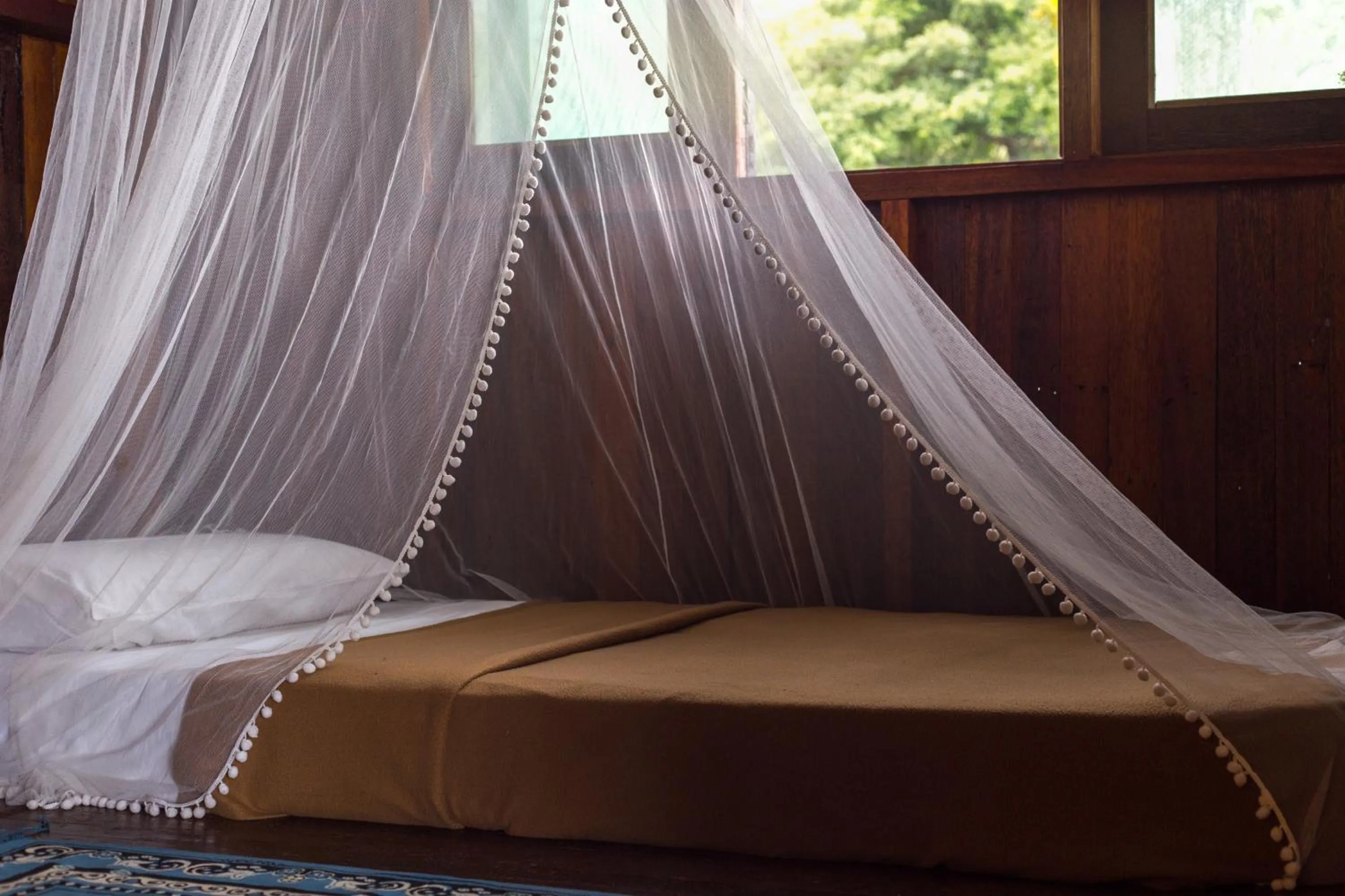 Beach, Bed in Wild Pasir Panjang