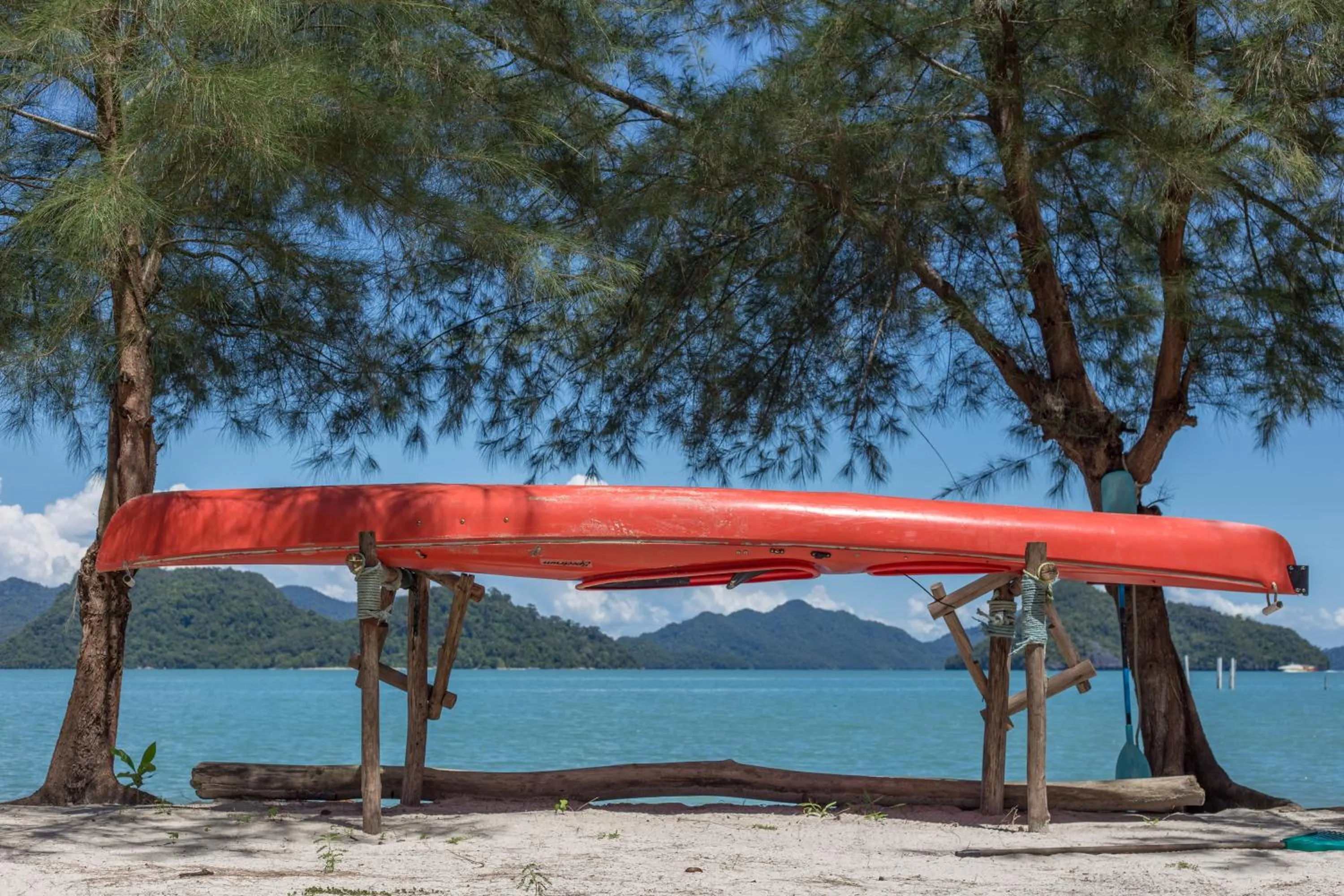 Beach in Wild Pasir Panjang