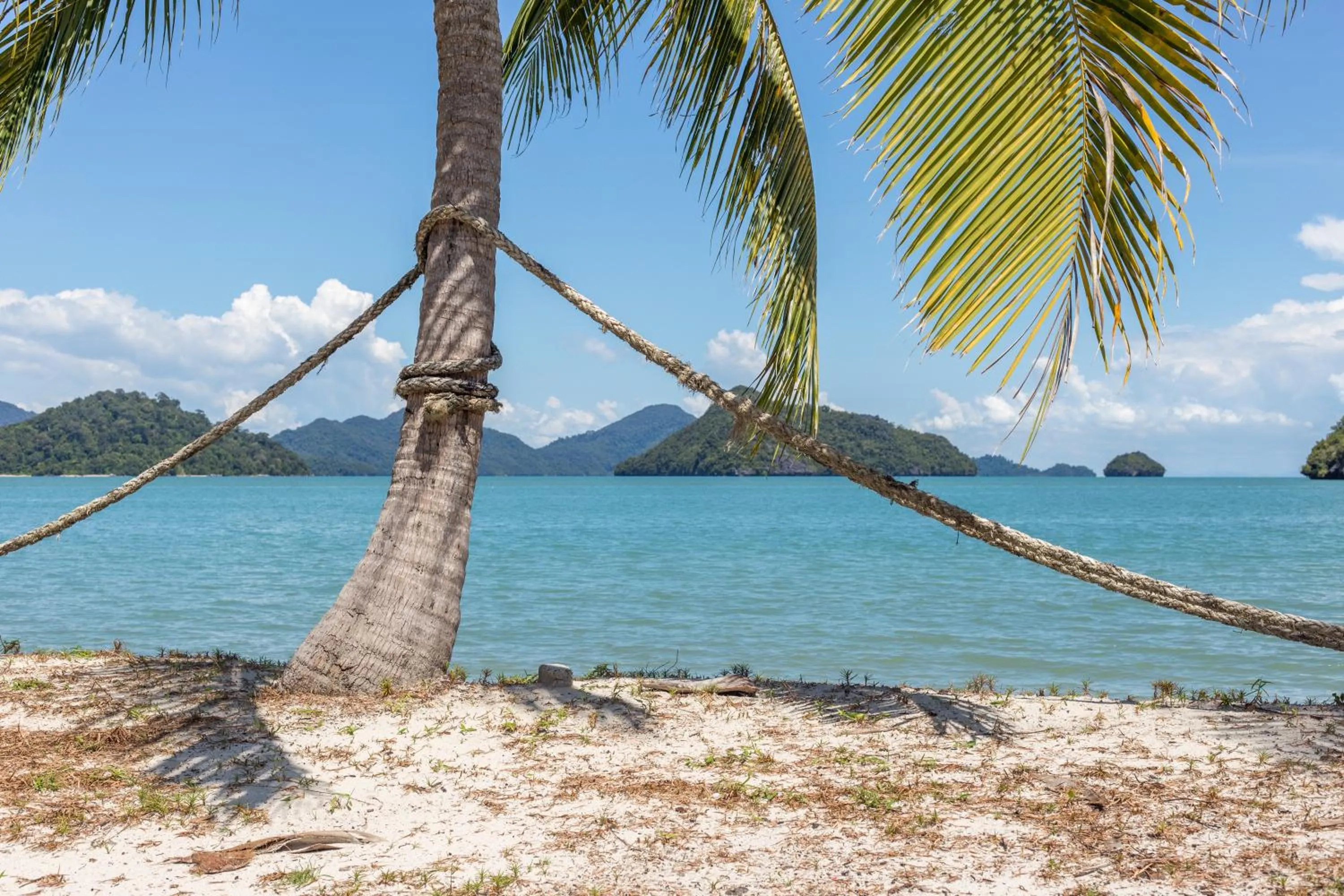 Beach in Wild Pasir Panjang