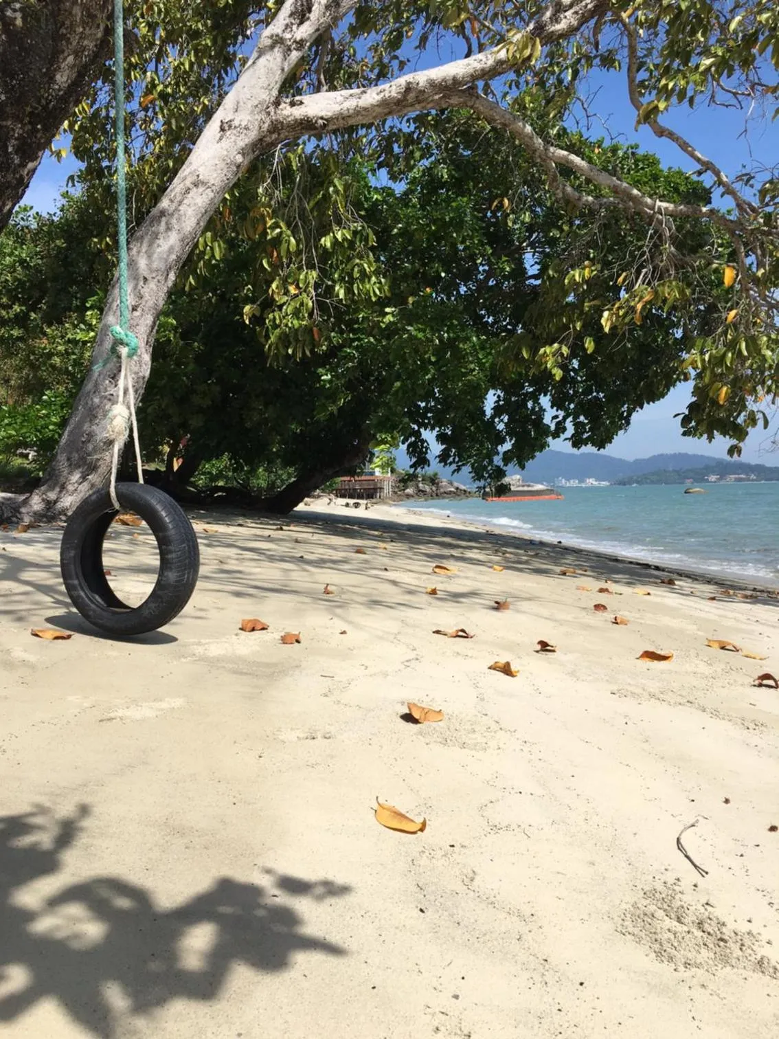 Beach in Wild Pasir Panjang