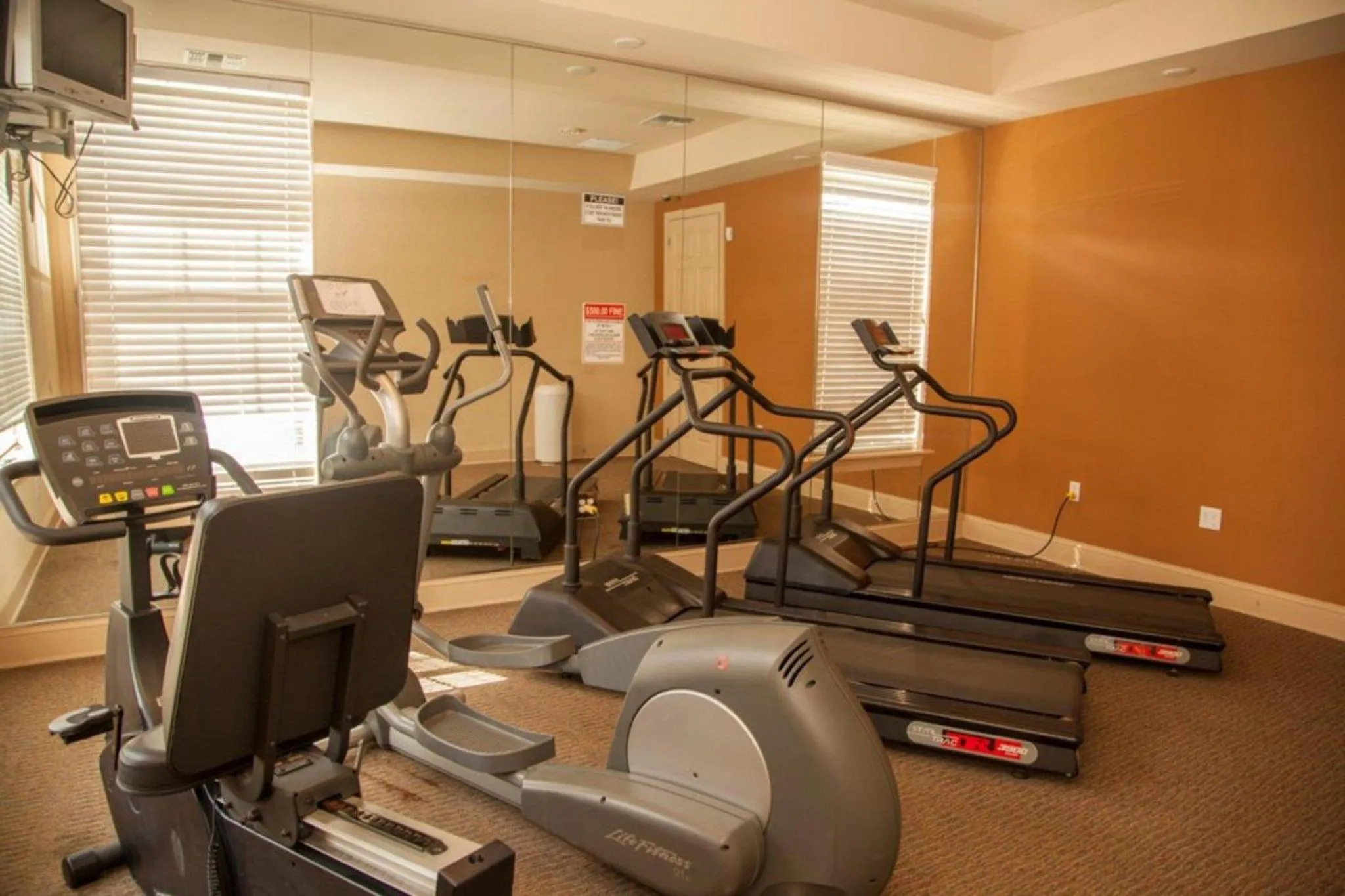 Pool Side Tree House