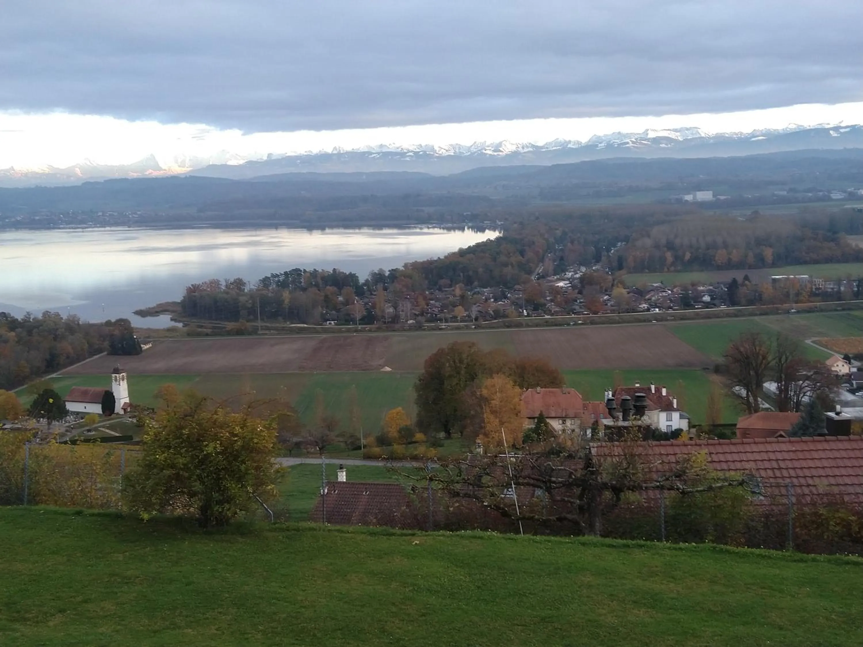 Winter in Swiss Borzoi House