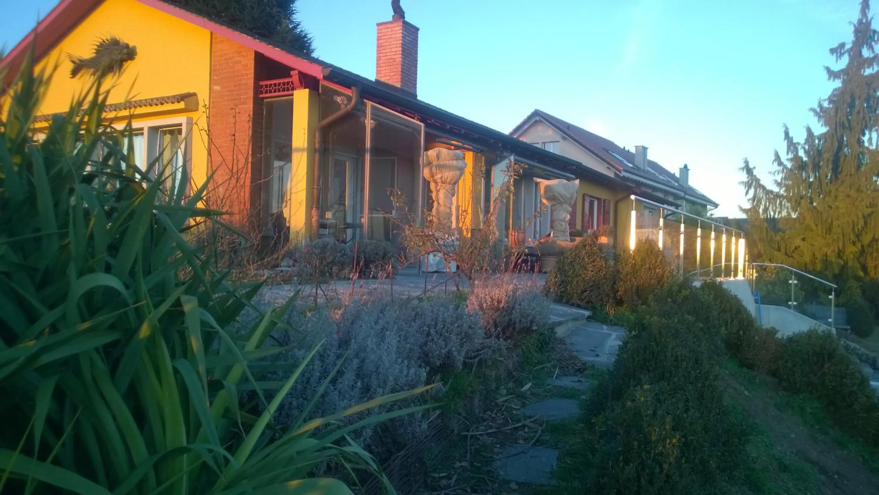 Property building in Swiss Borzoi House