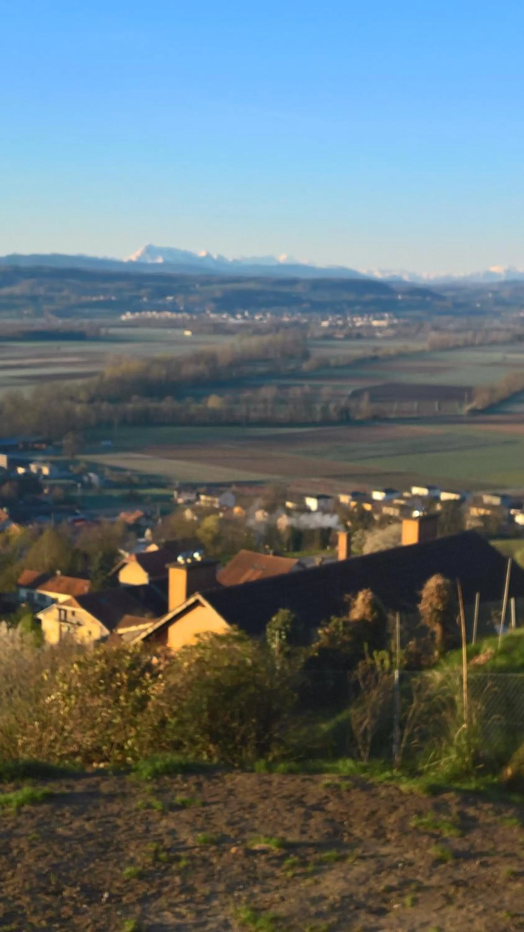 Natural landscape in Swiss Borzoi House