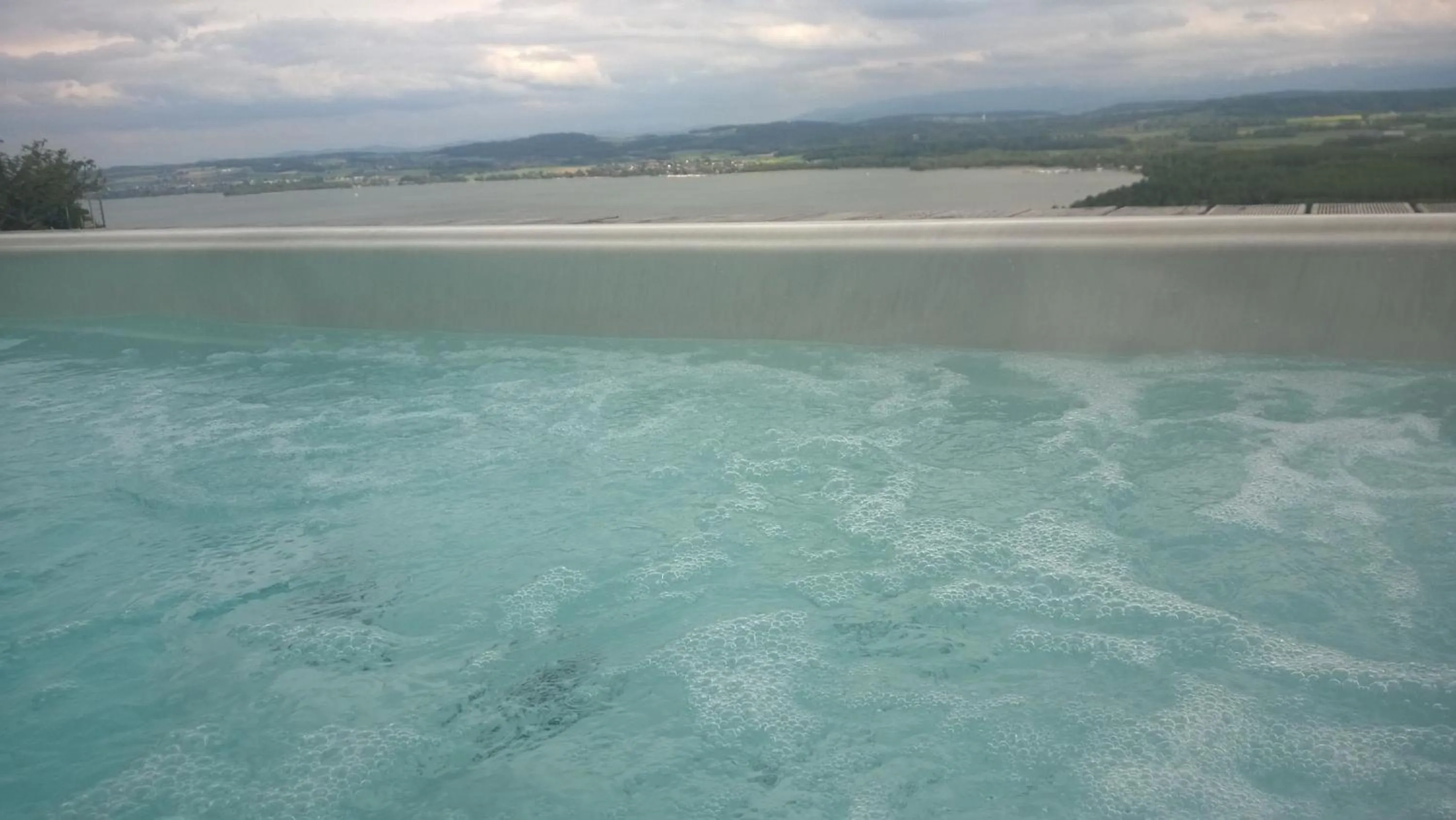 Spring in Swiss Borzoi House