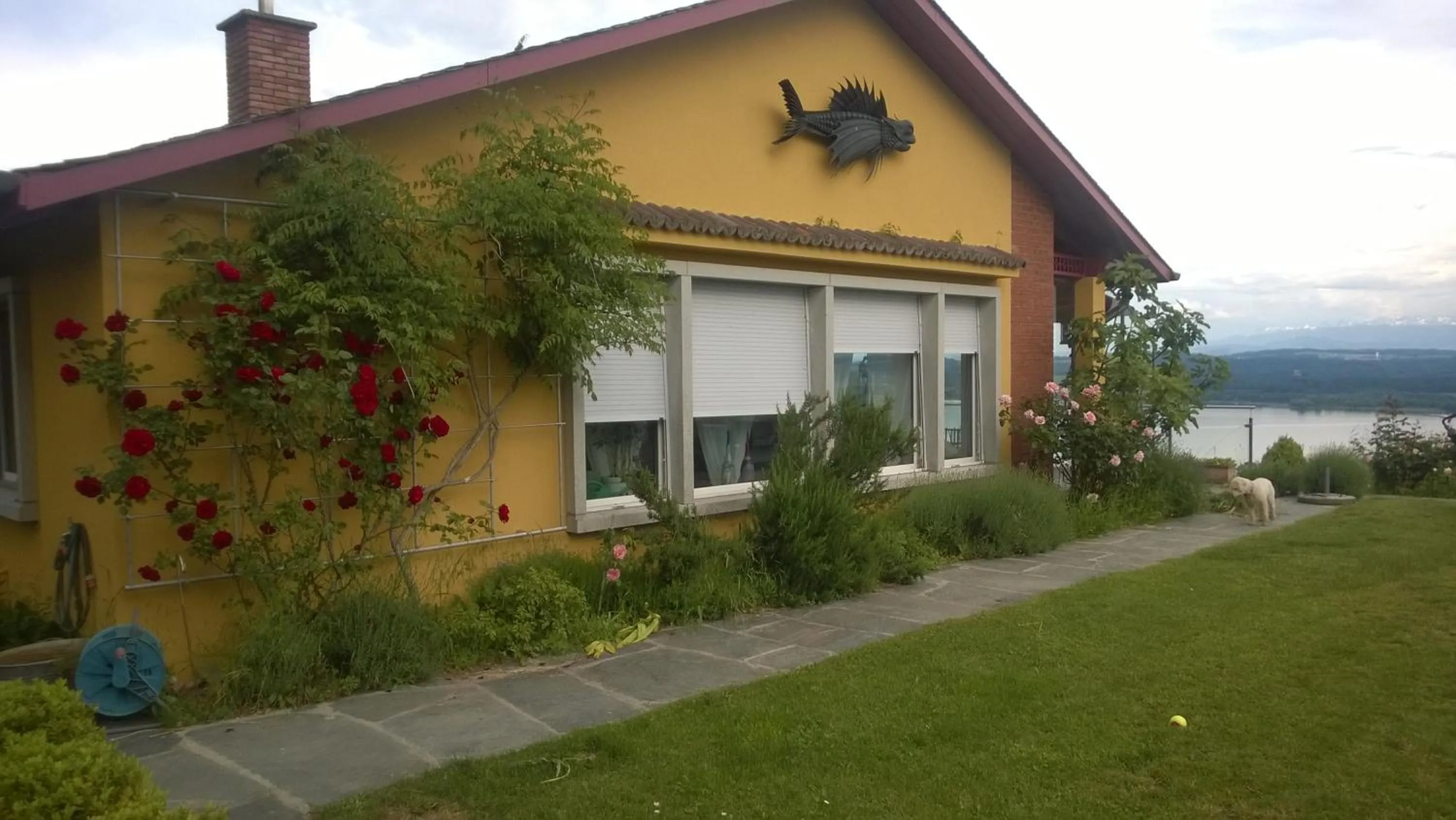 Property building in Swiss Borzoi House