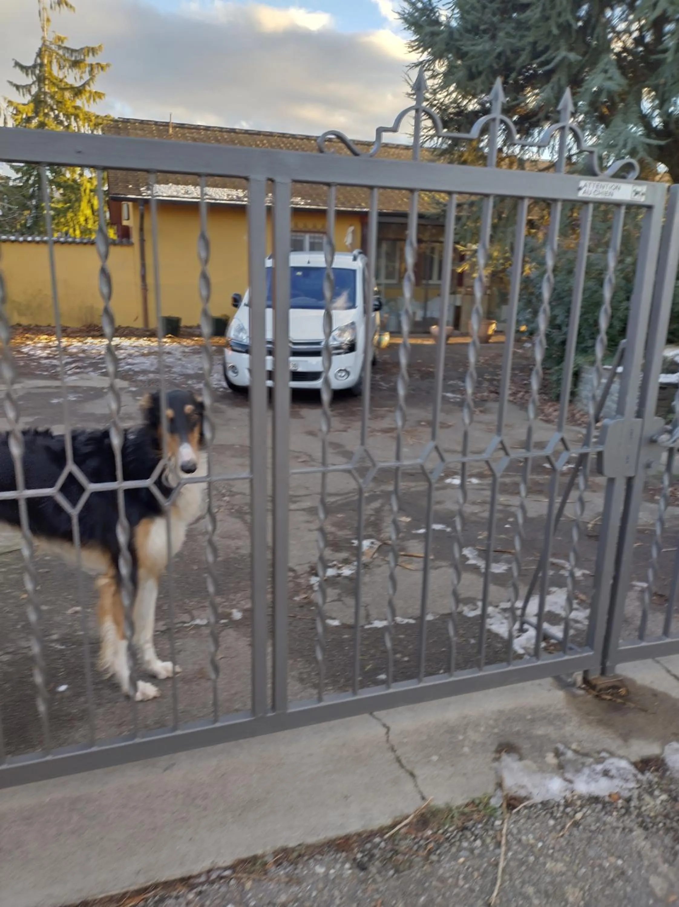 Facade/entrance in Swiss Borzoi House