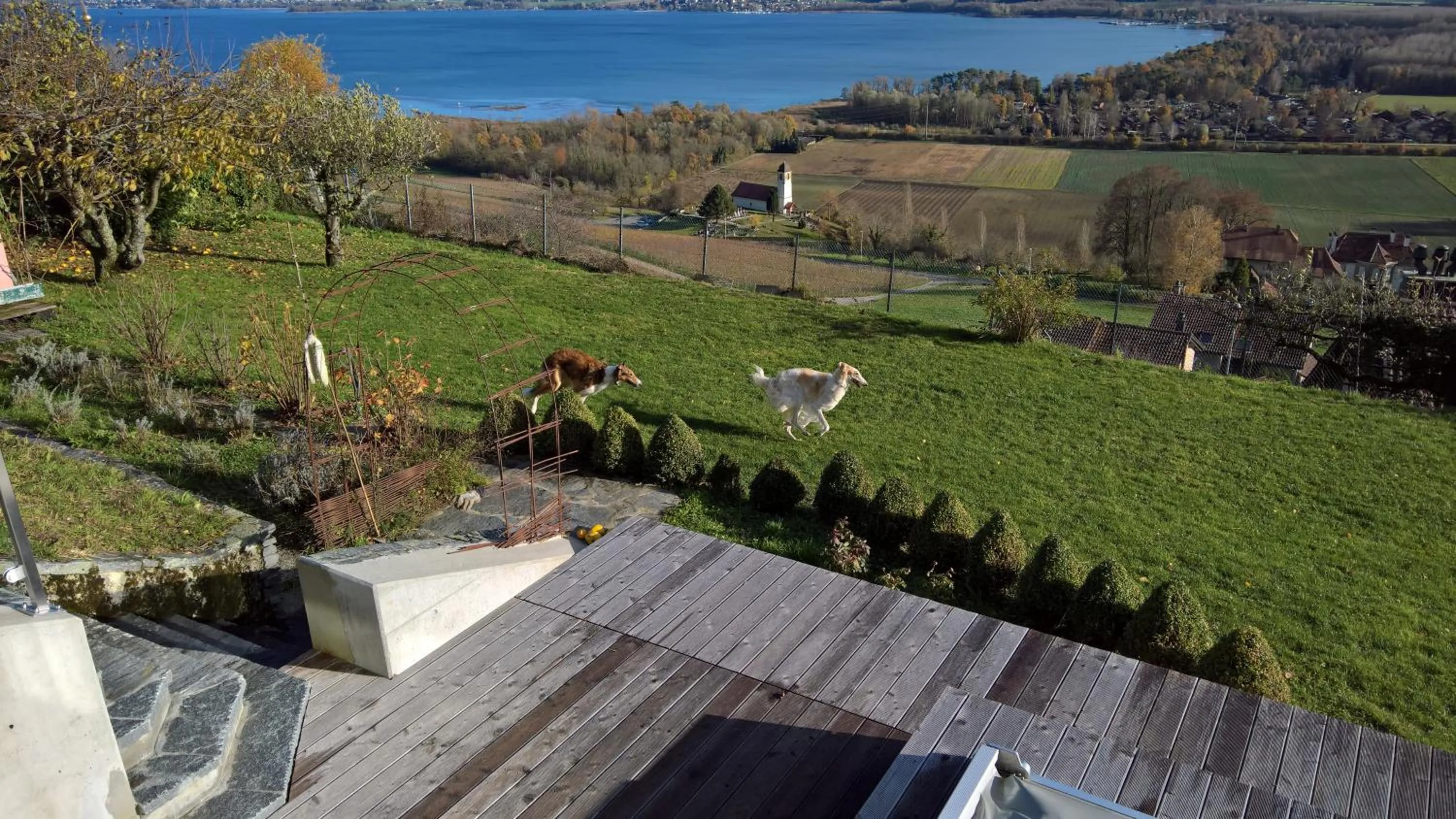 Winter in Swiss Borzoi House