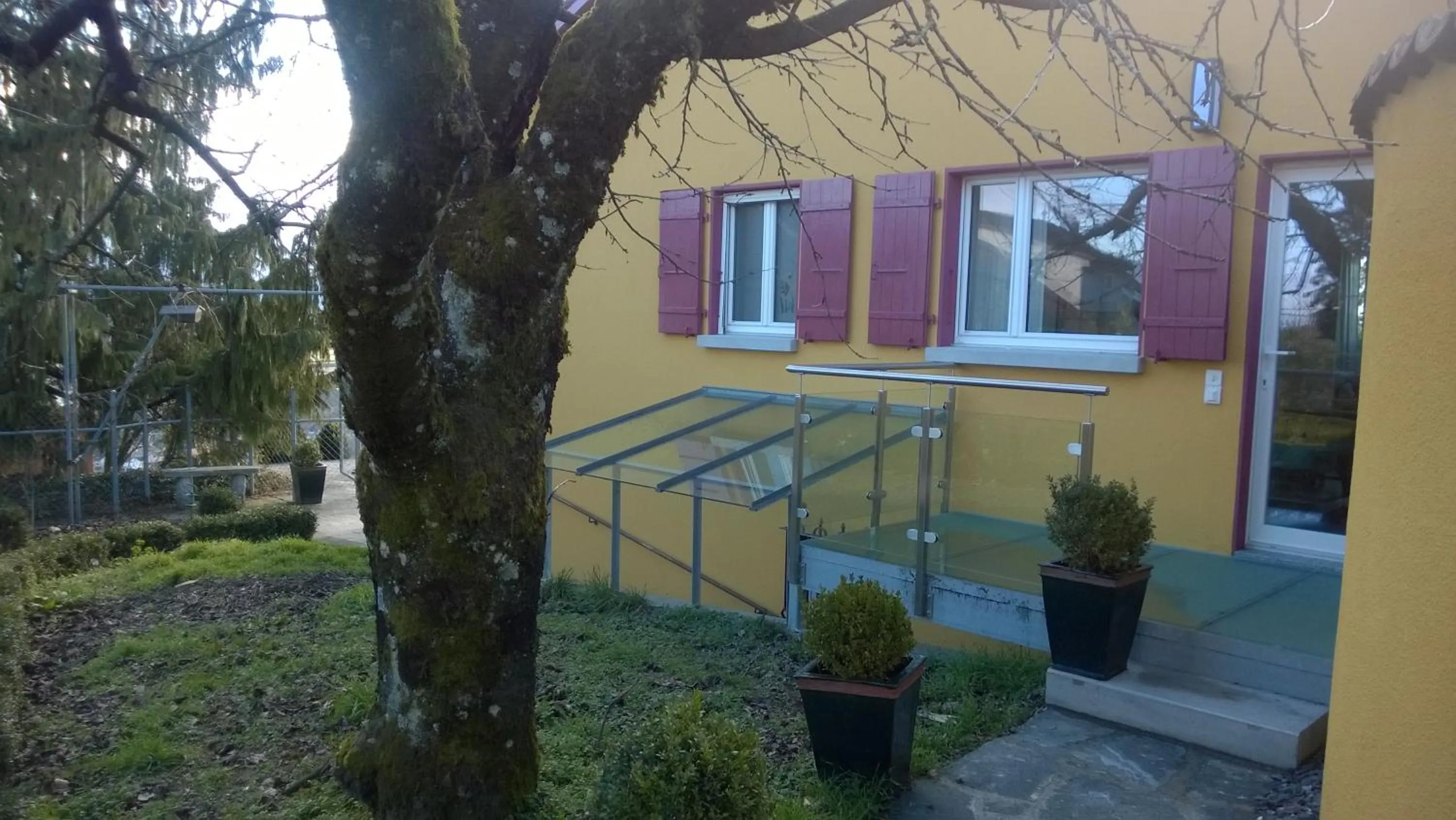 Property building in Swiss Borzoi House