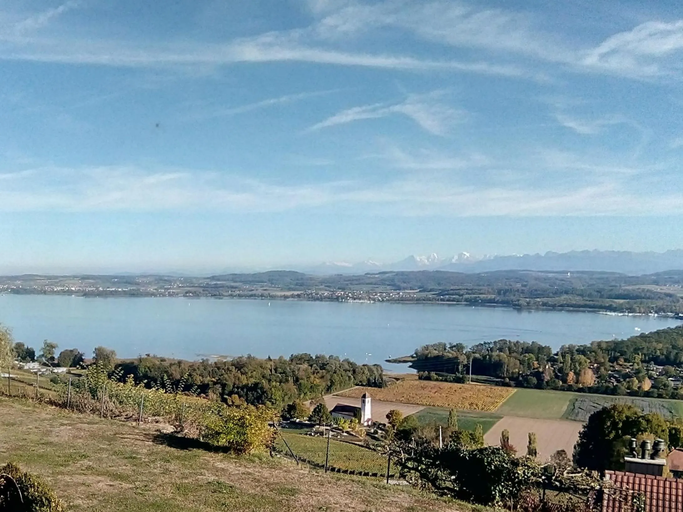 View (from property/room) in Swiss Borzoi House
