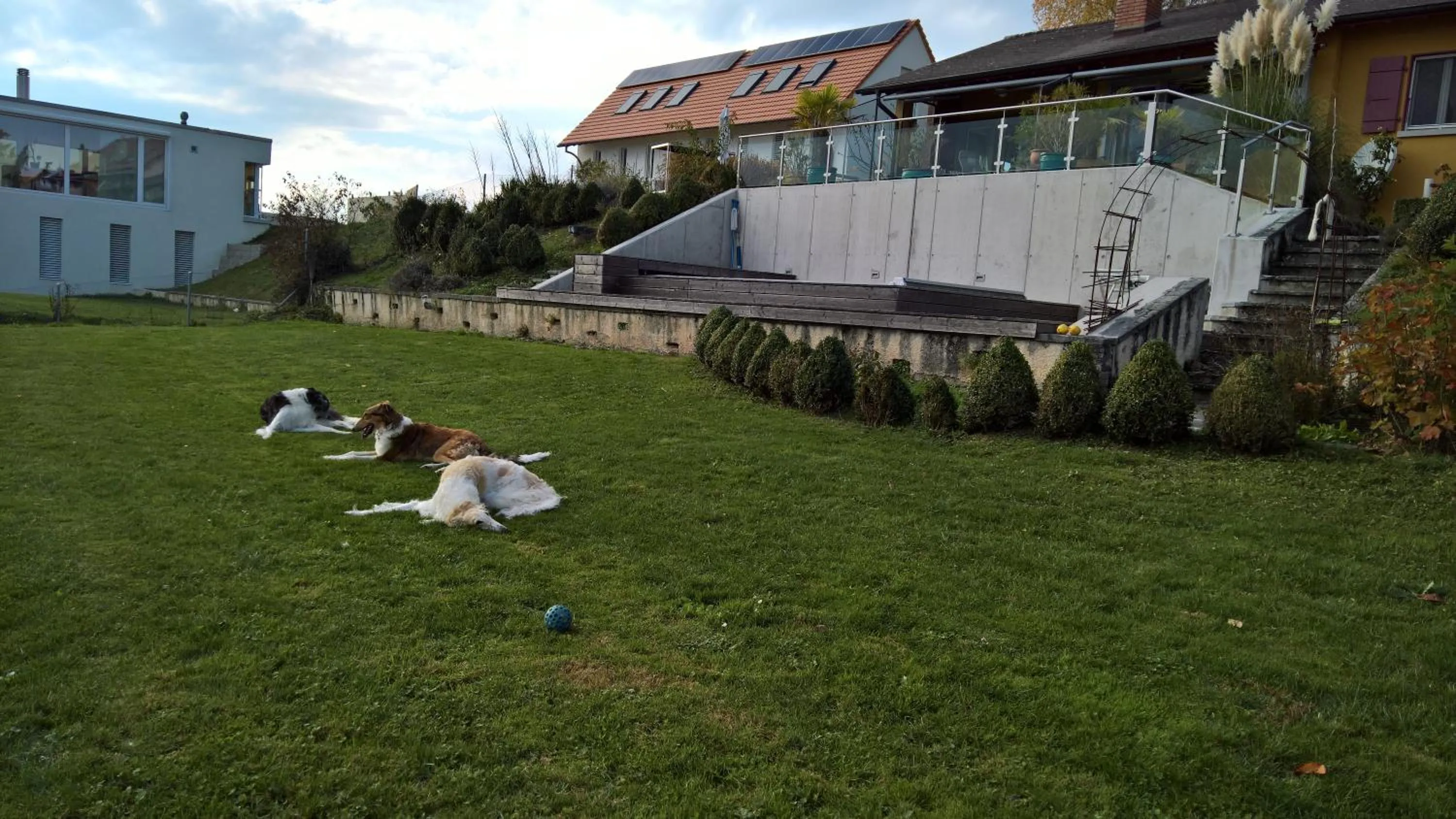 Neighbourhood in Swiss Borzoi House