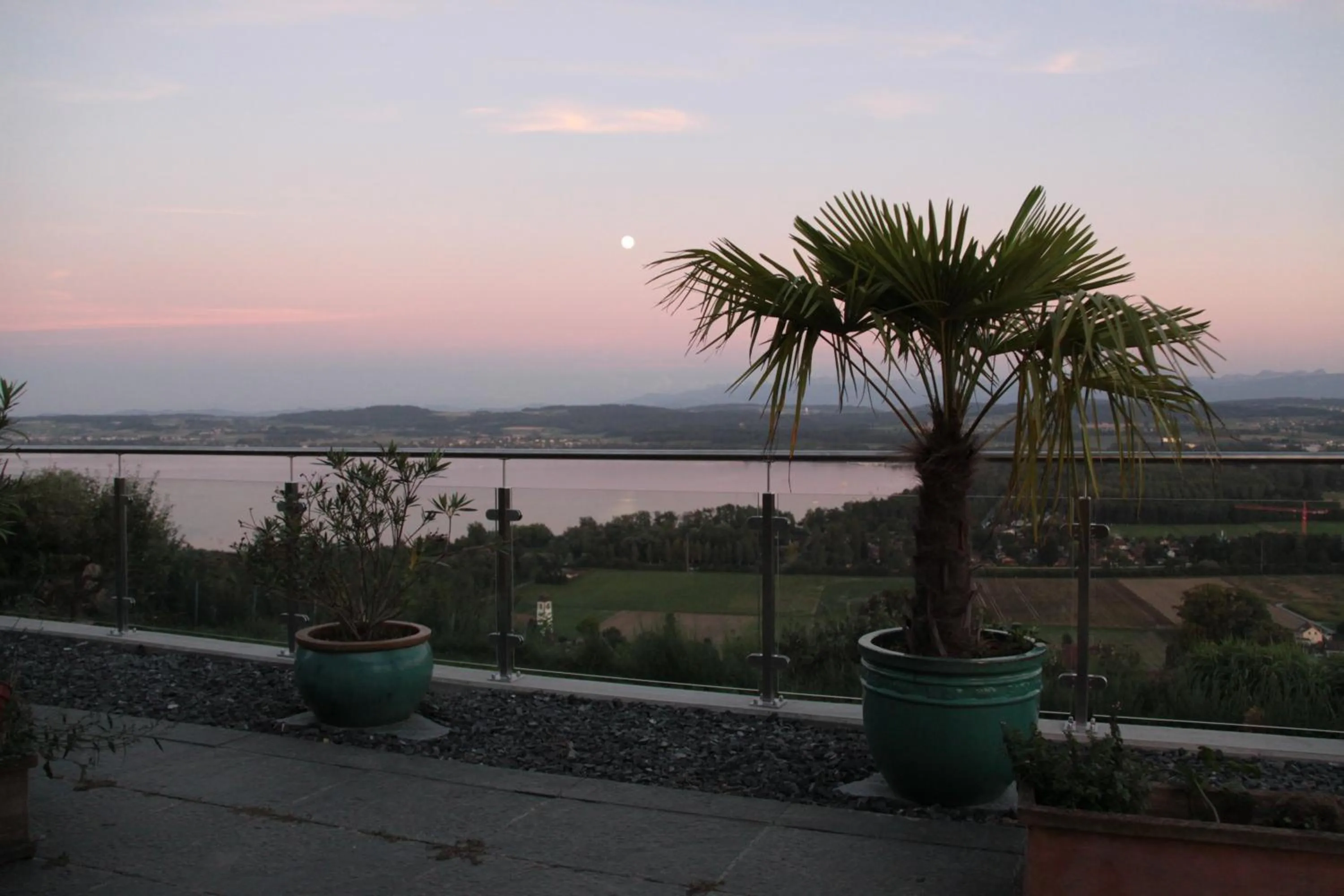 Garden view in Swiss Borzoi House
