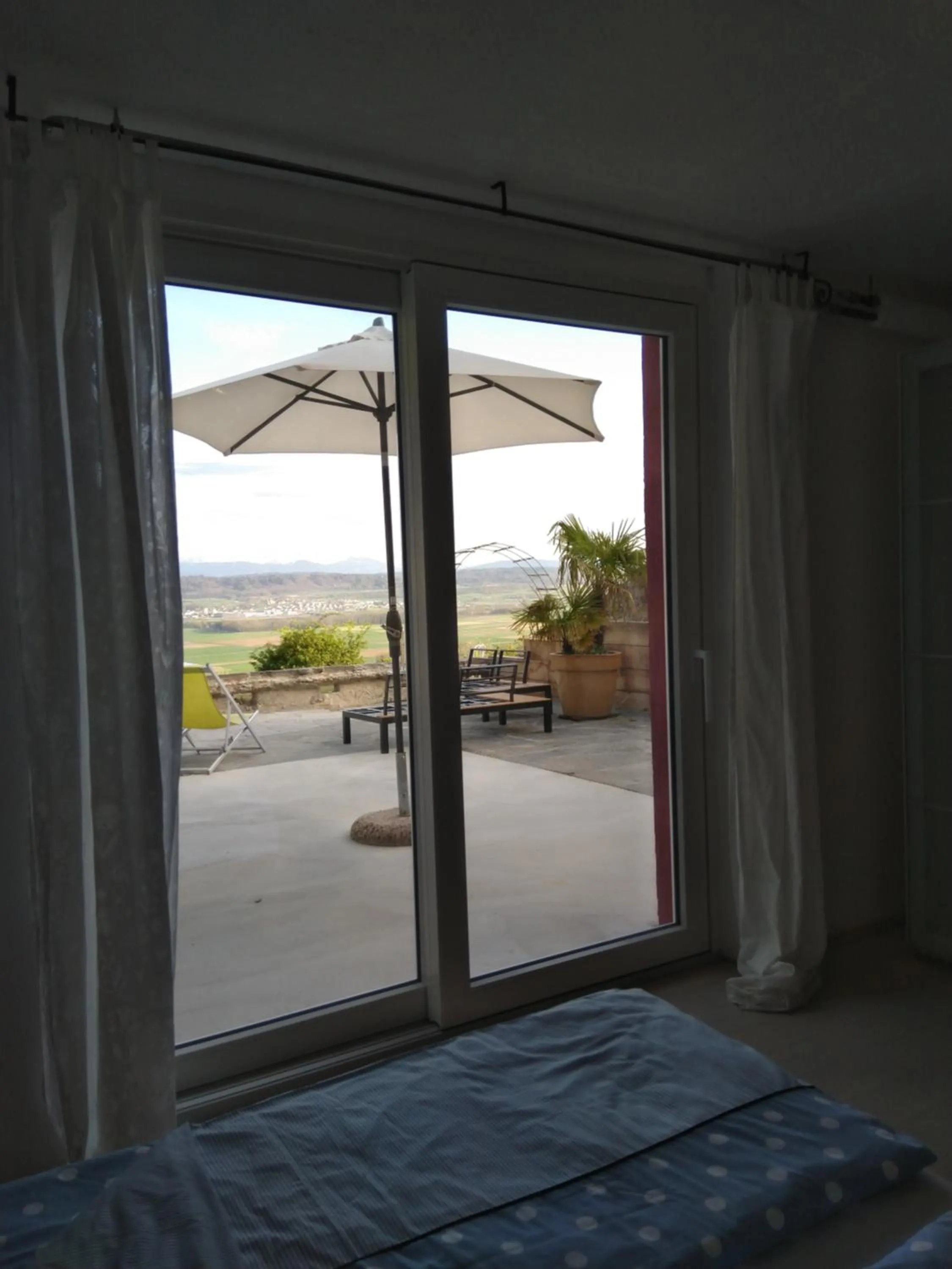 Patio, Bed in Swiss Borzoi House